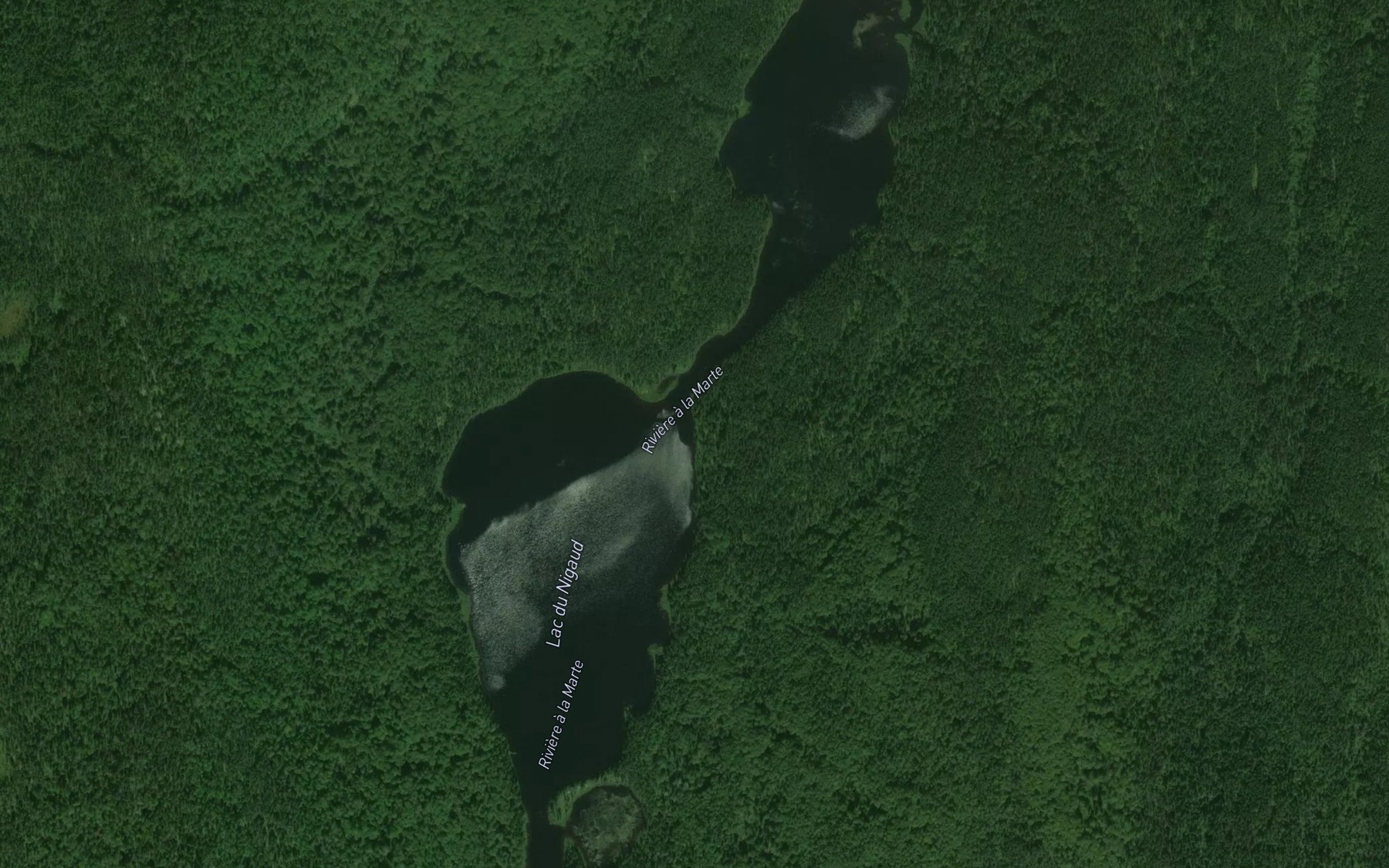 Satellite map of the Lac du Nigaud