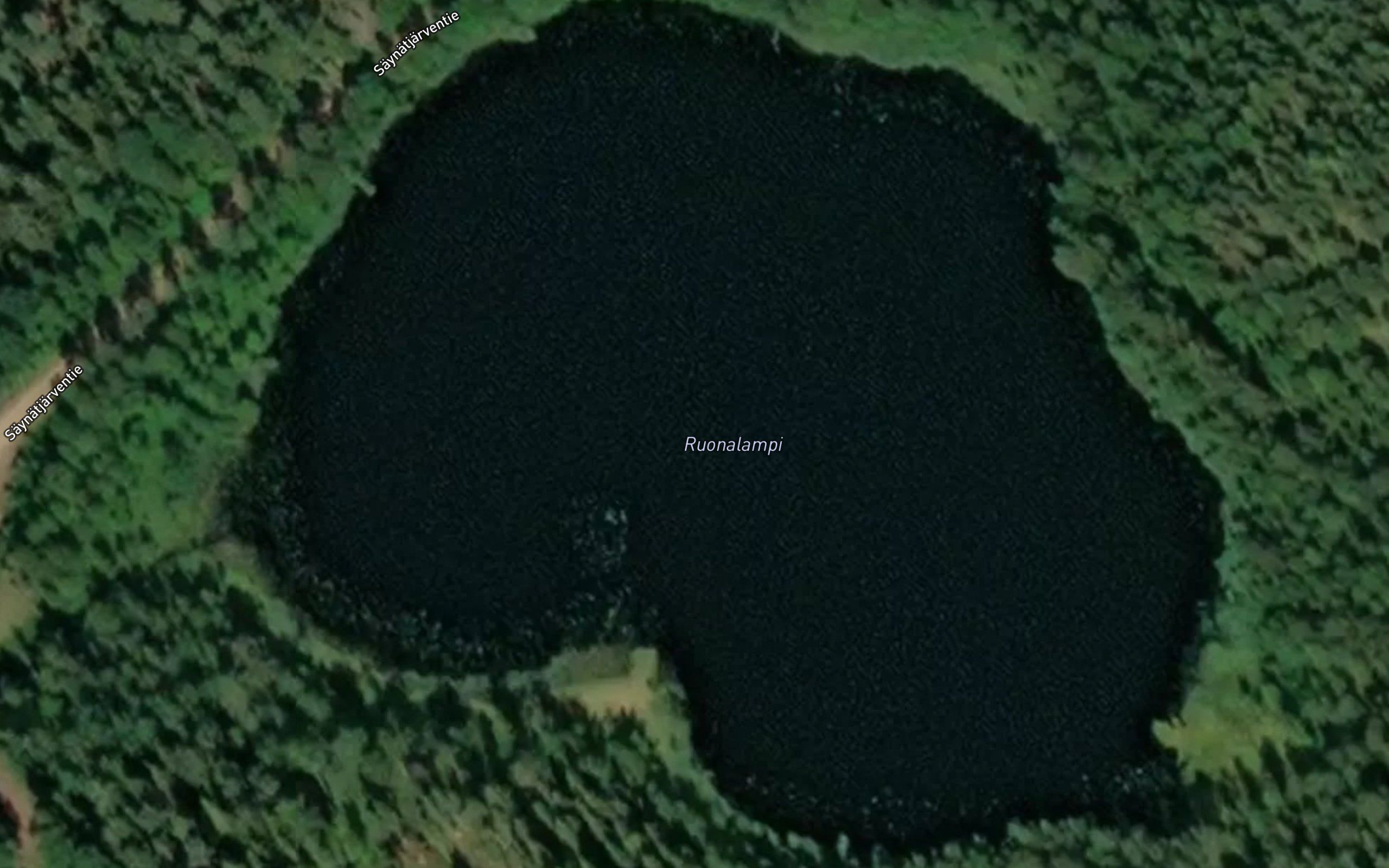 Ruonalampi