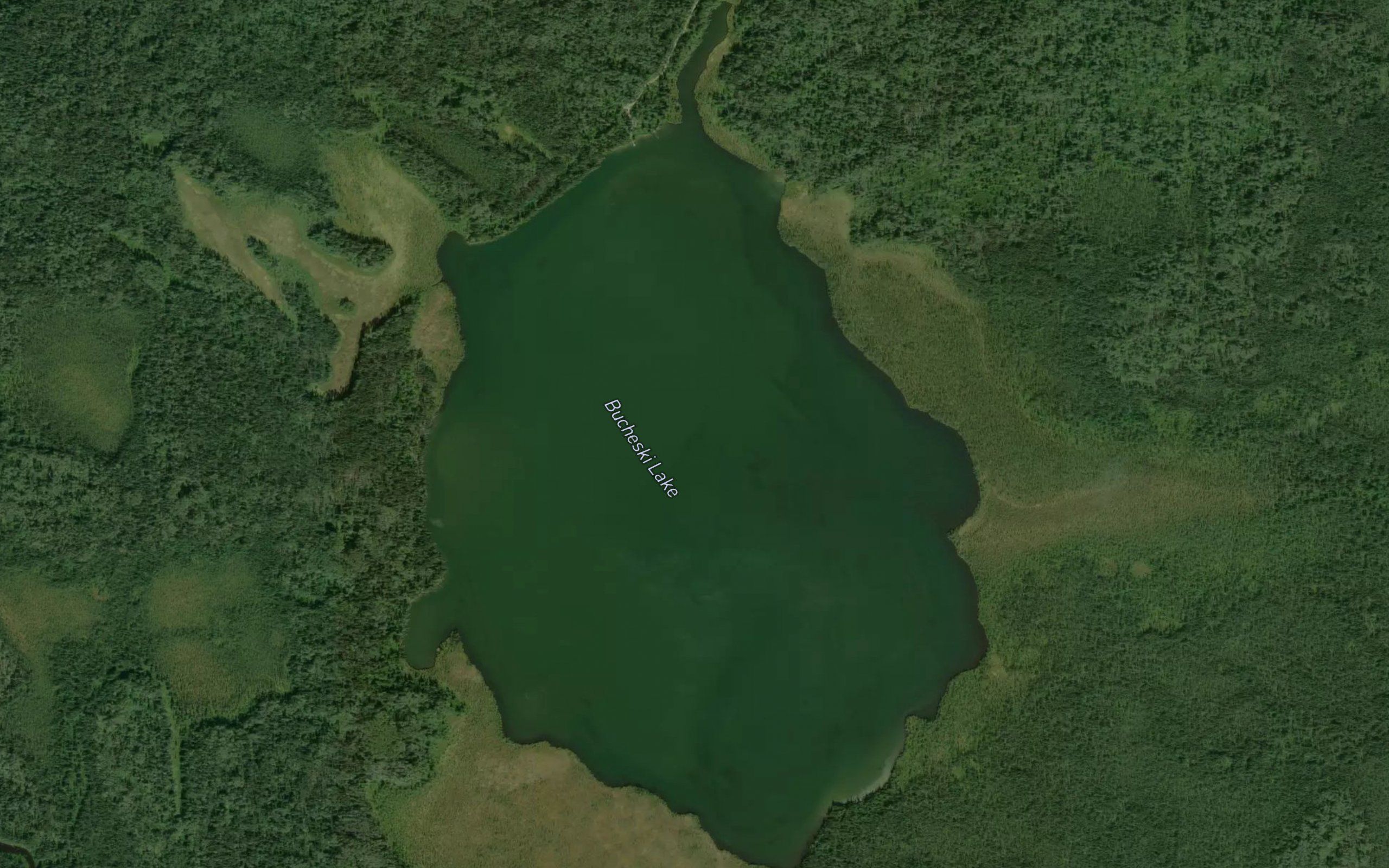 Bucheski Lake
