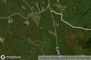 Mongue Meadow Brook