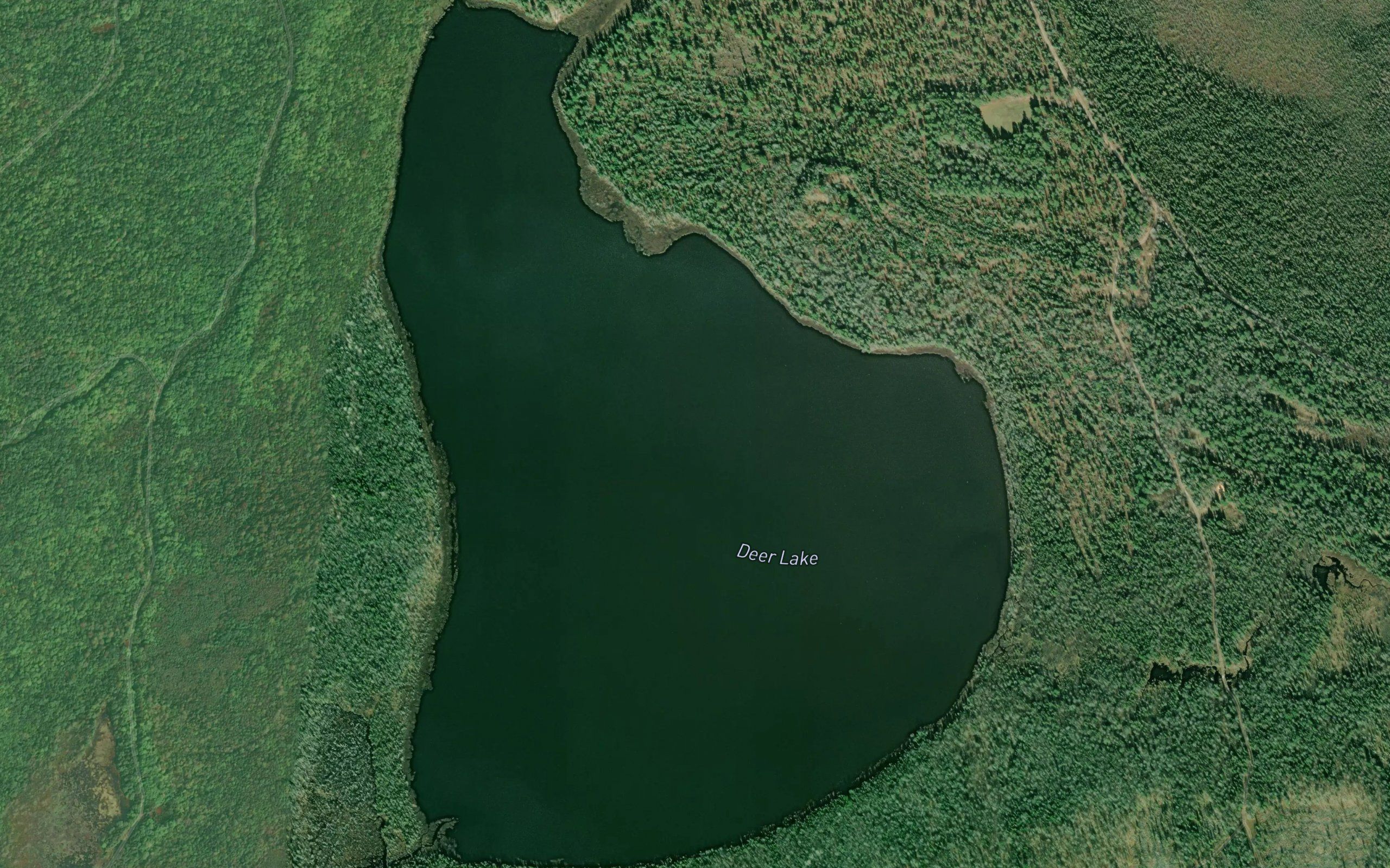 Deer Lake
