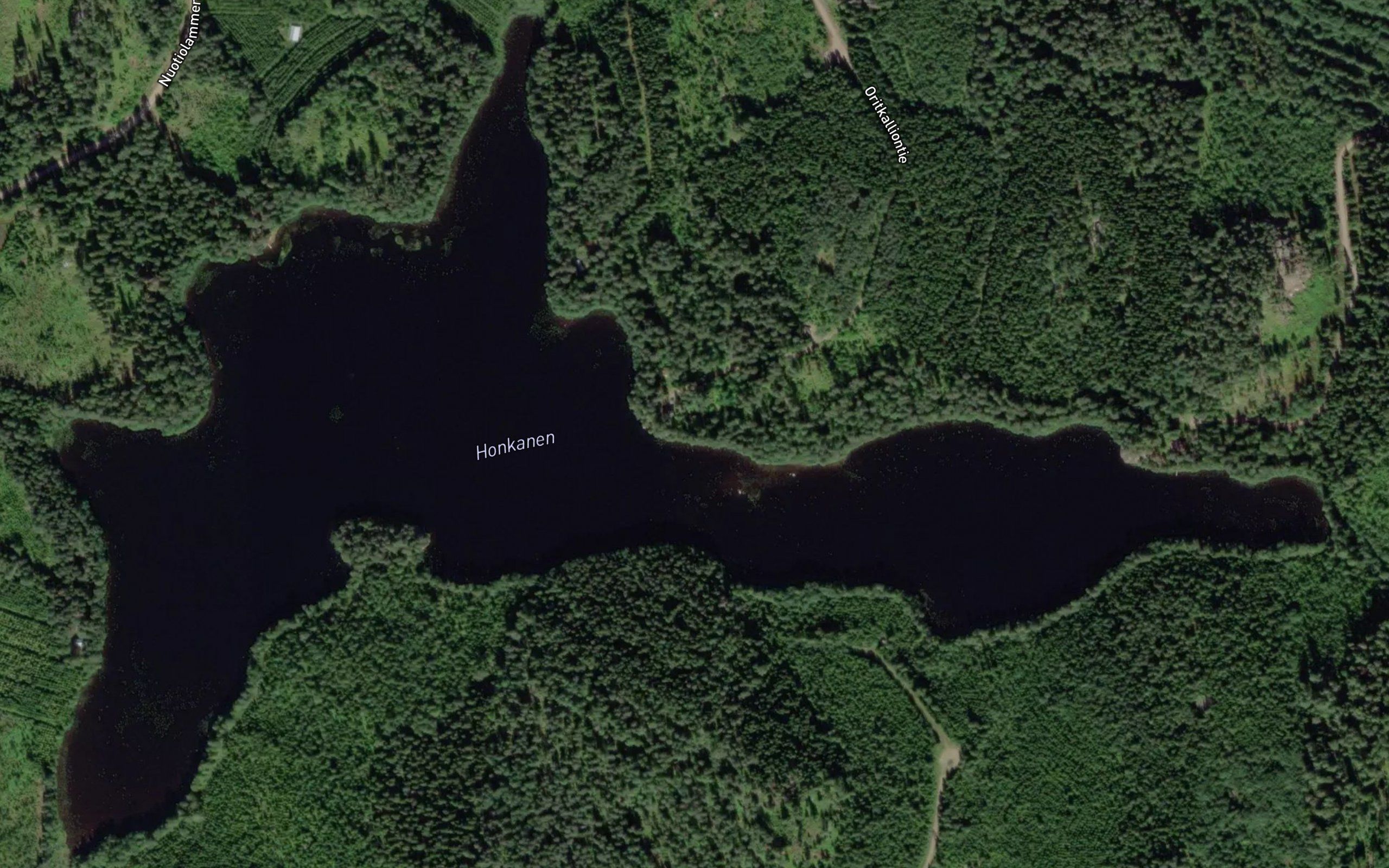 Honkanen