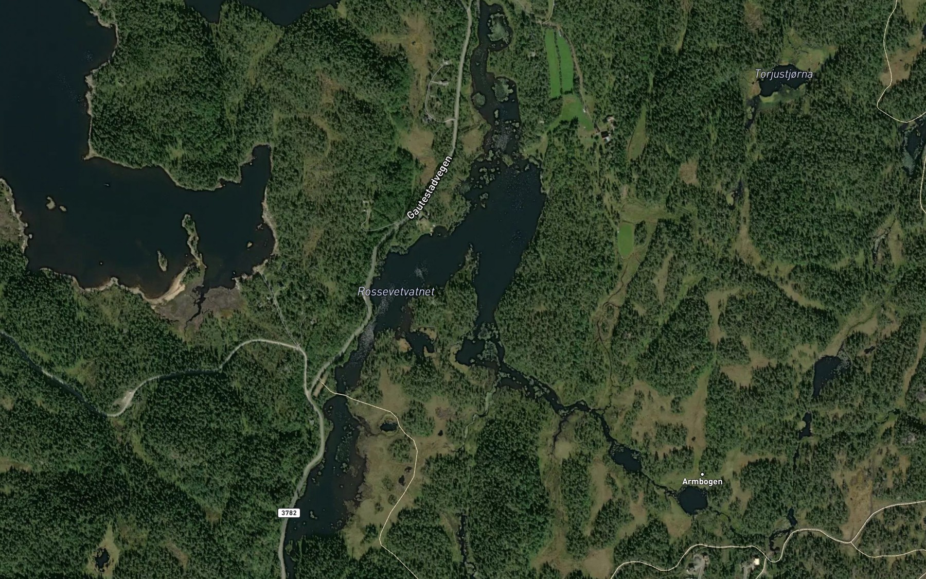 Satellite map of the Rassevete