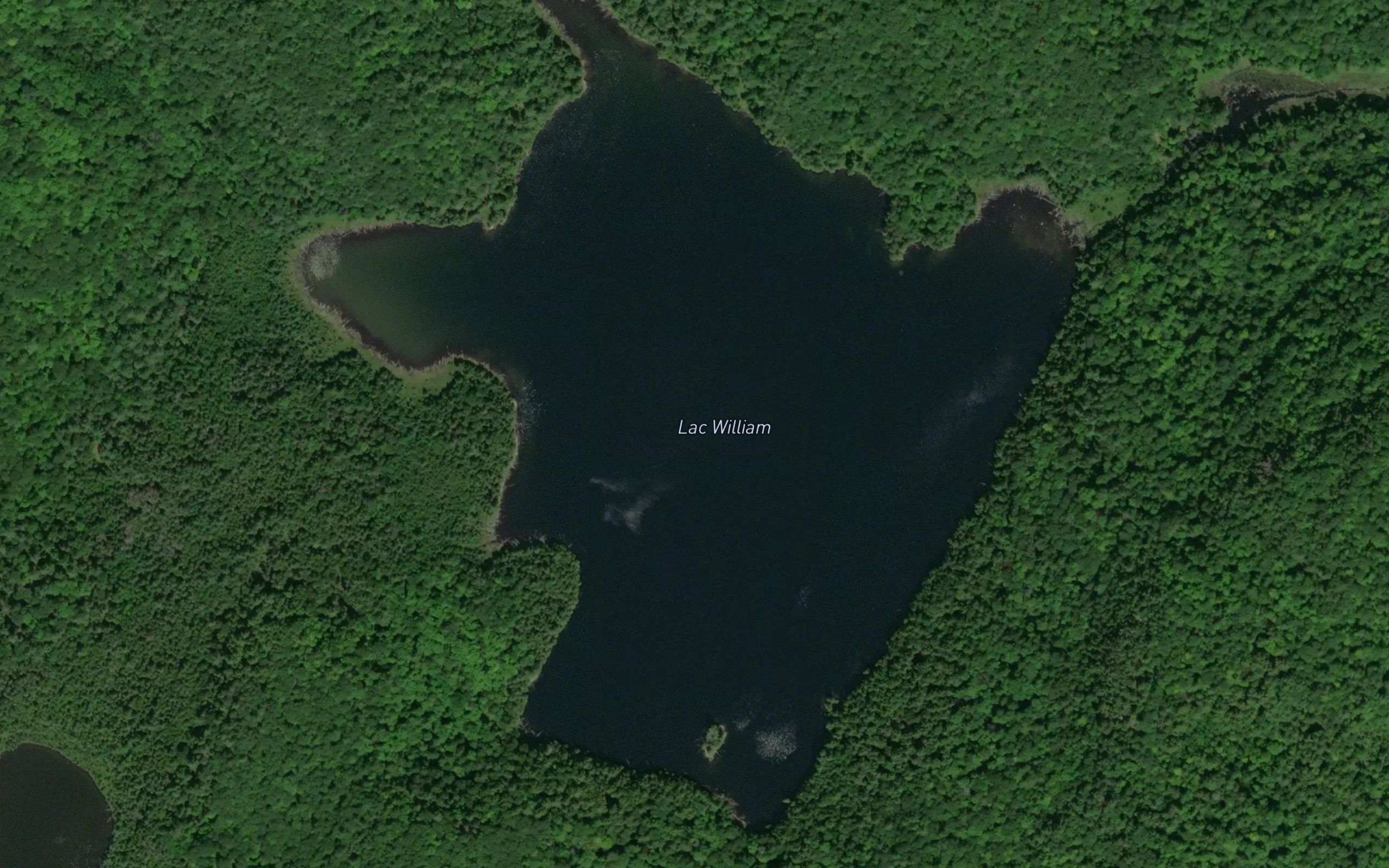 Lac William
