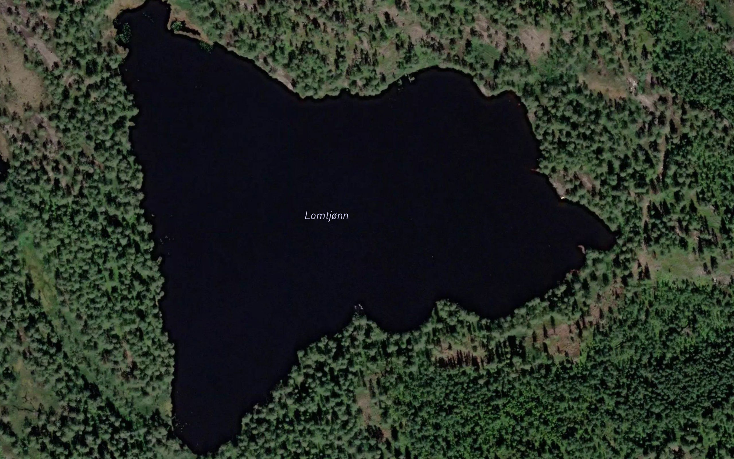 Lomtjonn