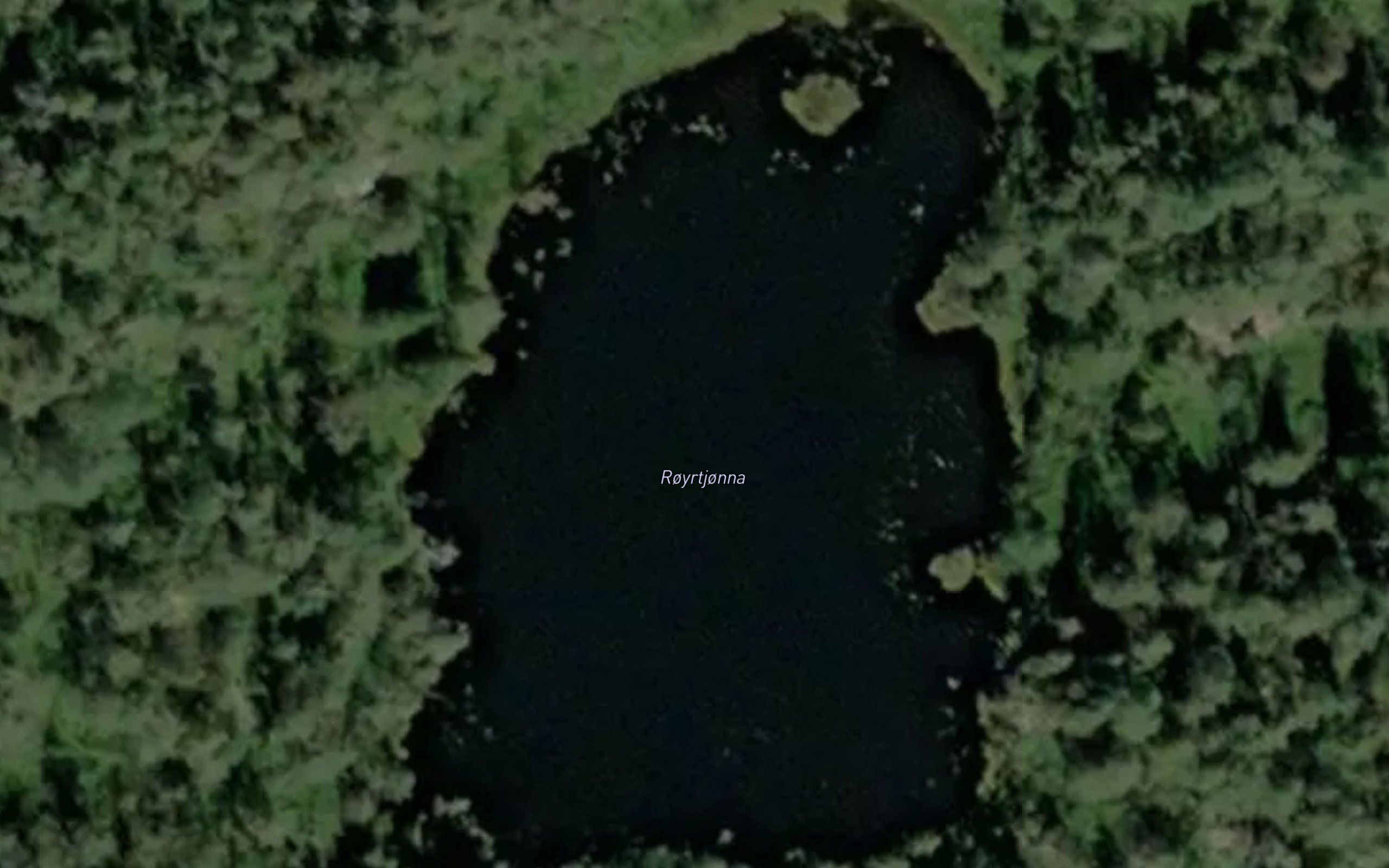 Royrtjonna