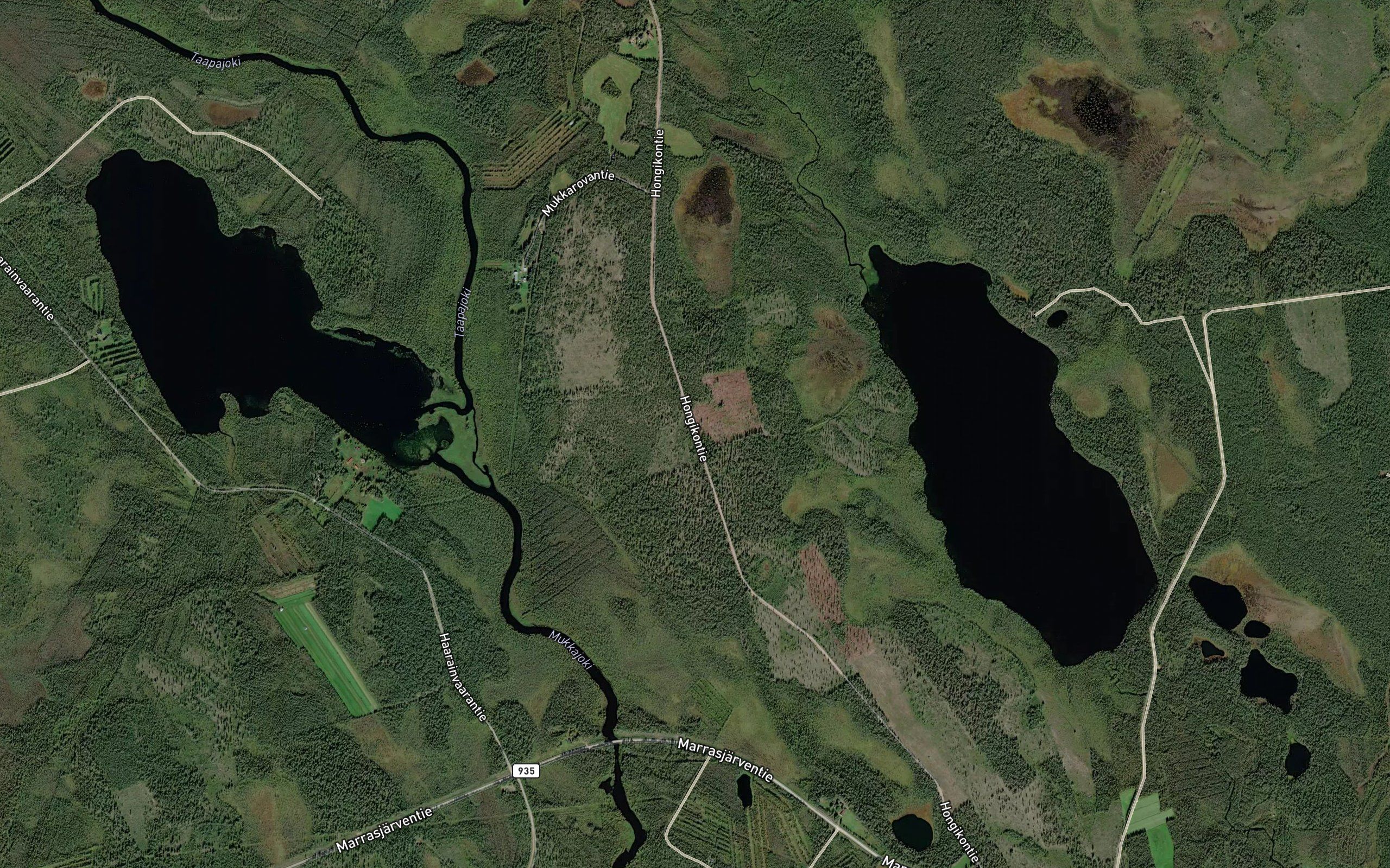 Taapajoki