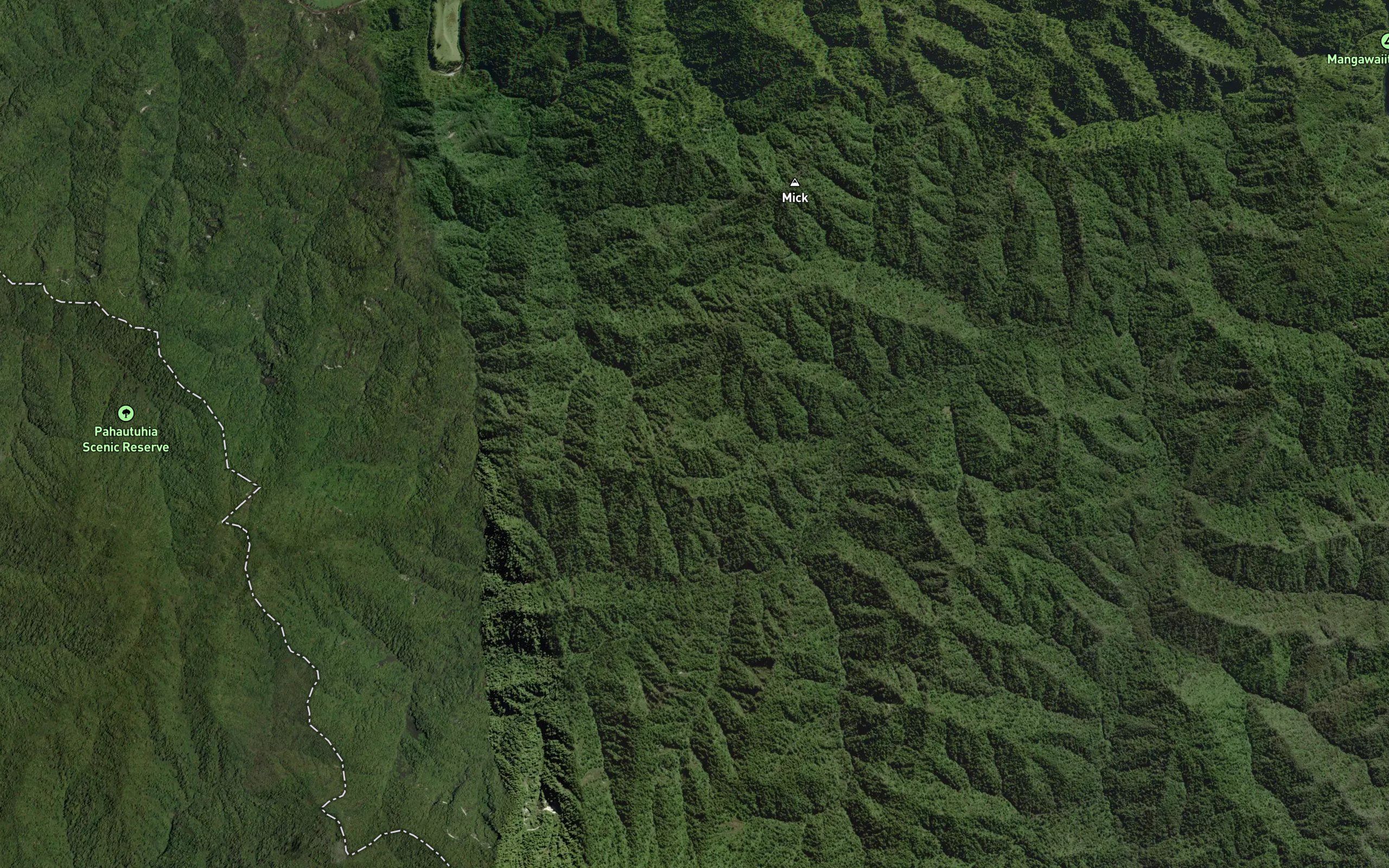 Mangawaiiti West Branch
