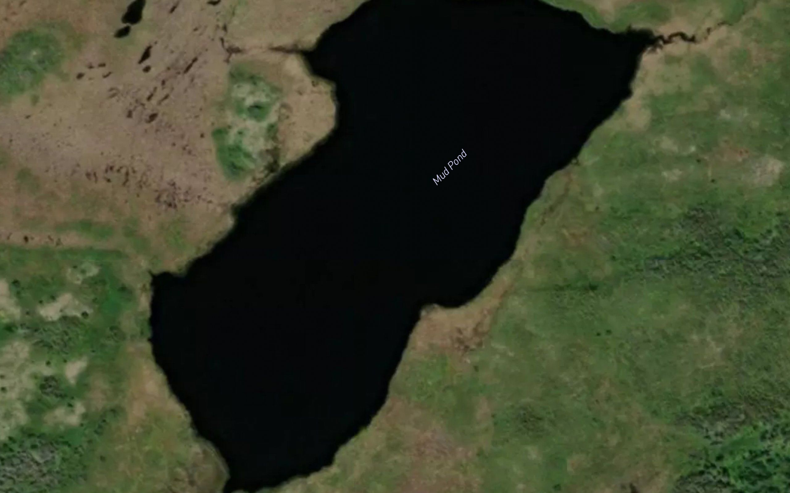 Mud Pond