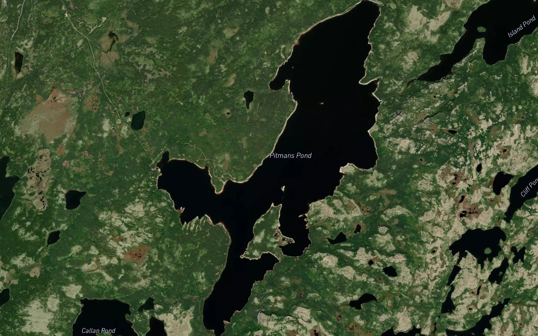 Satellite map of the Pitmans Pond
