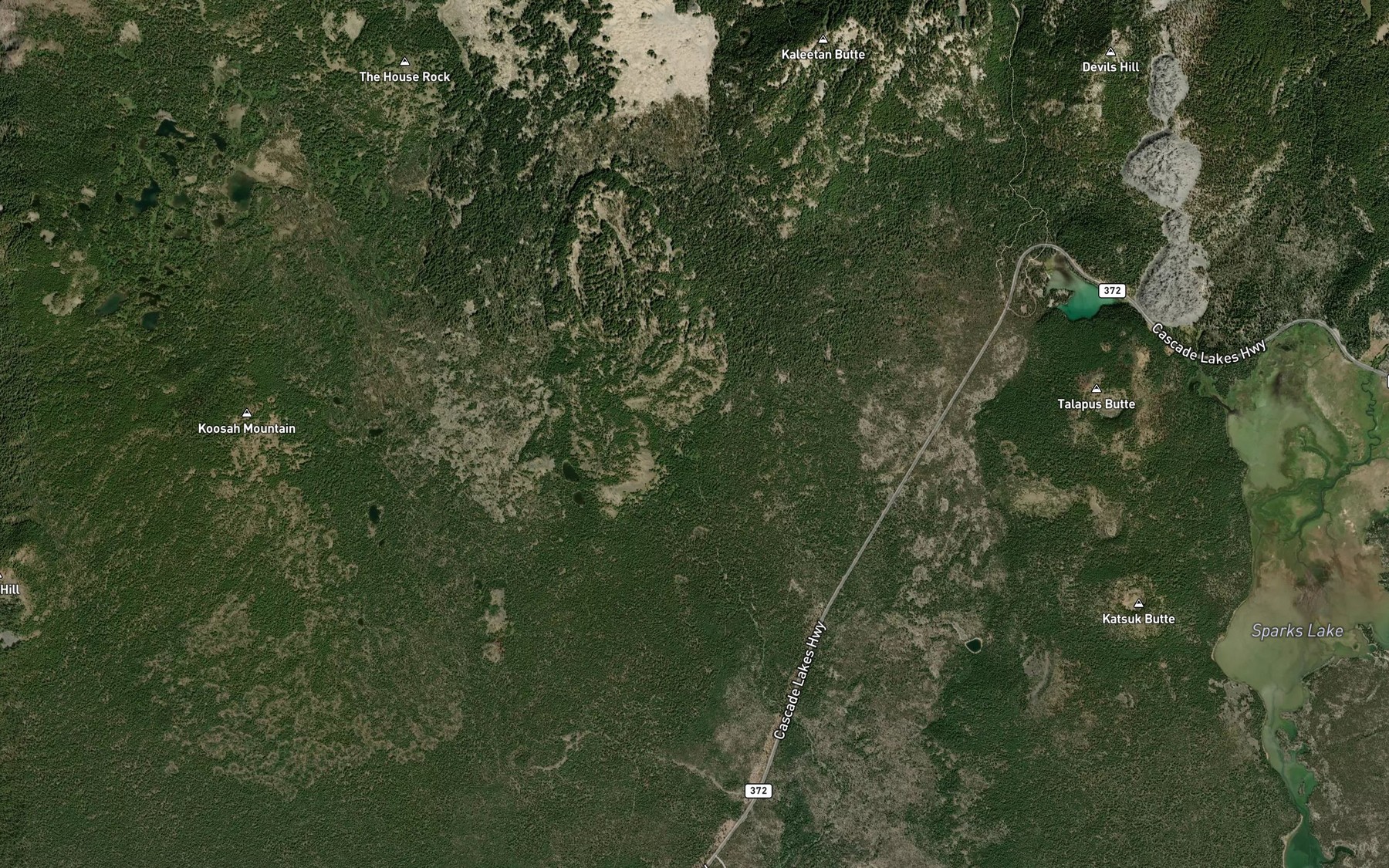 Satellite map of the Blacktail Spring