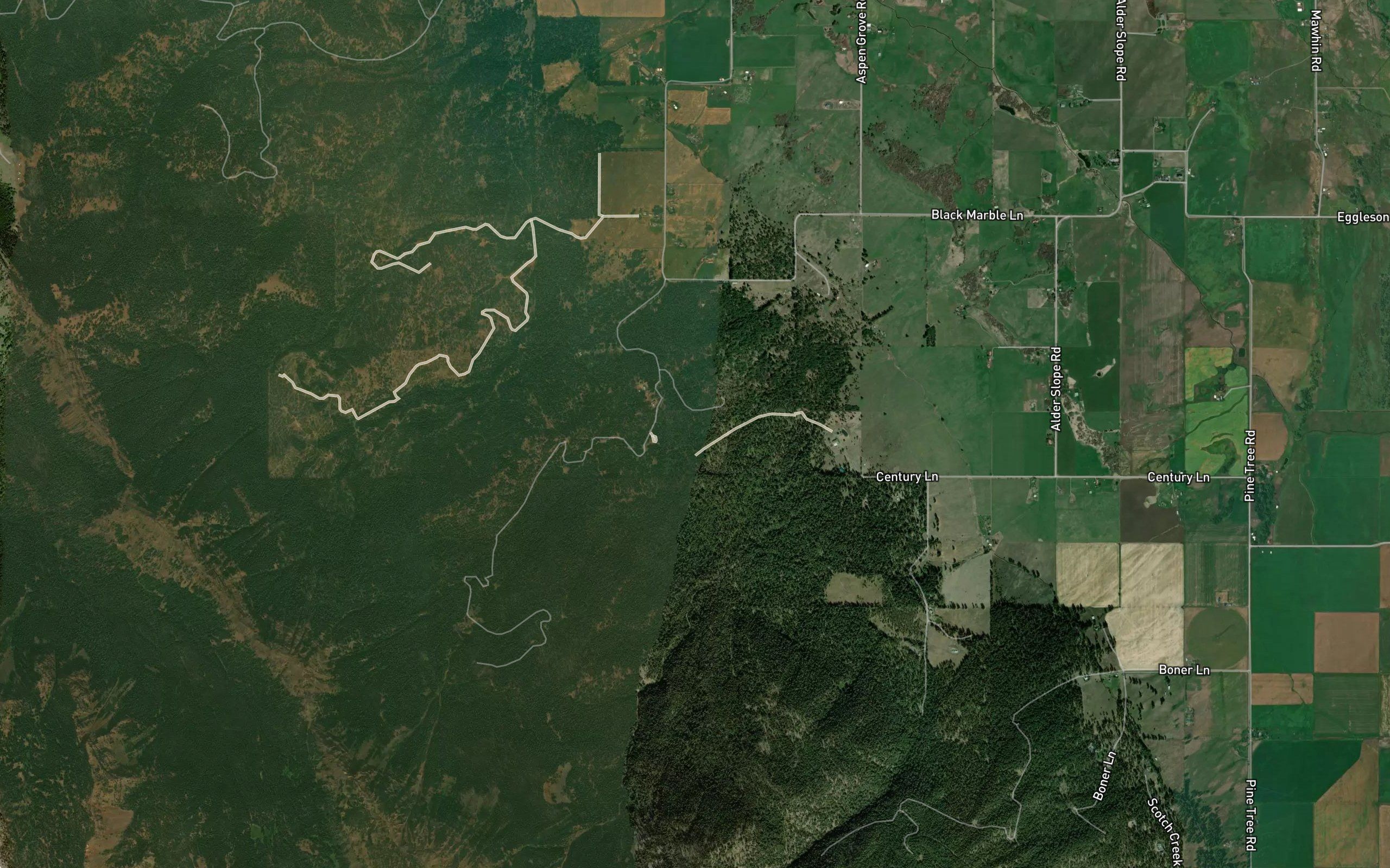 Murray Creek