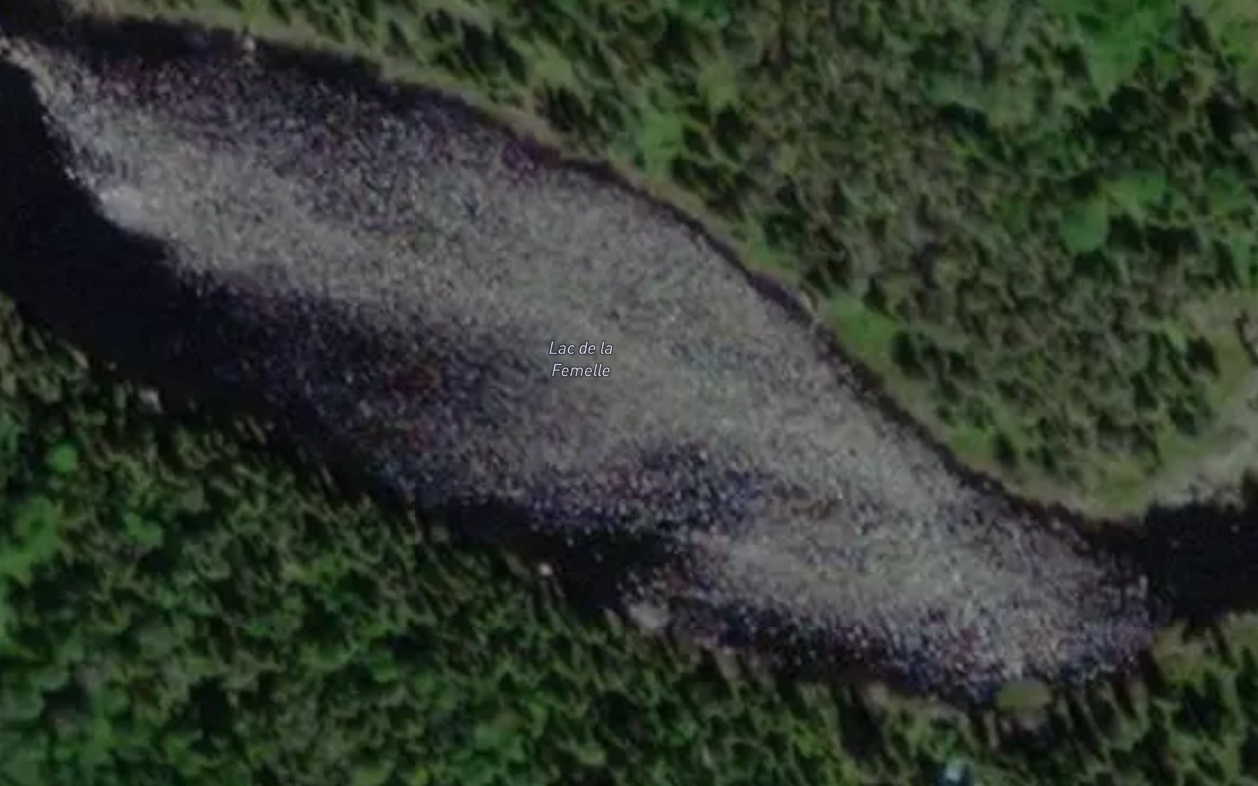 Satellite map of the Lac de la Femelle