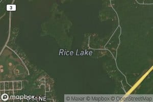Rice Lake