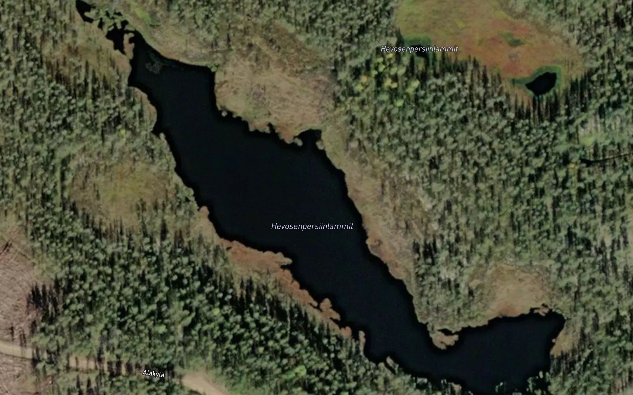 Hevosenpersiinlammit