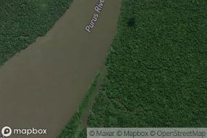 Parana Caioe