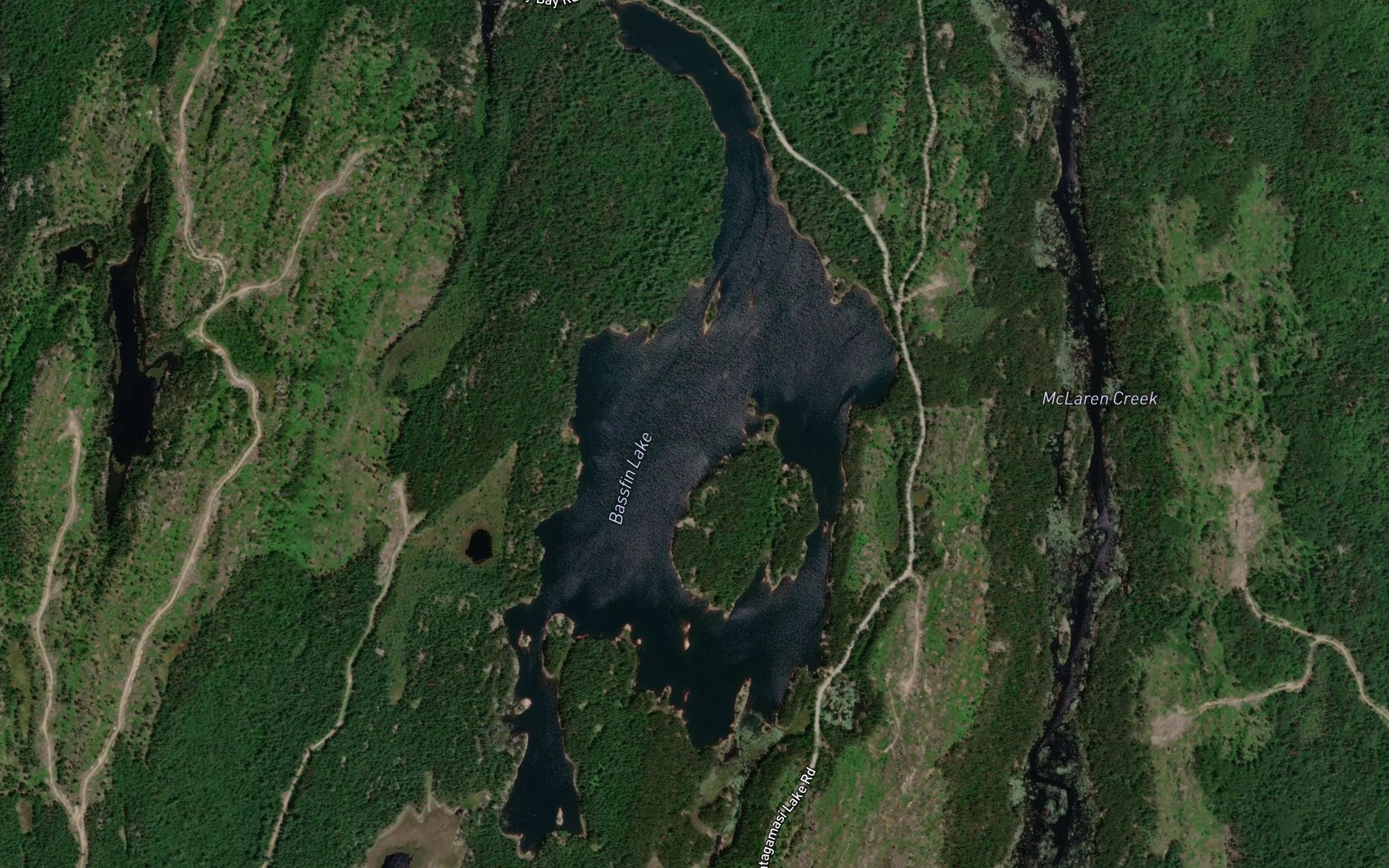 Satellite map of the Bassfin Lake