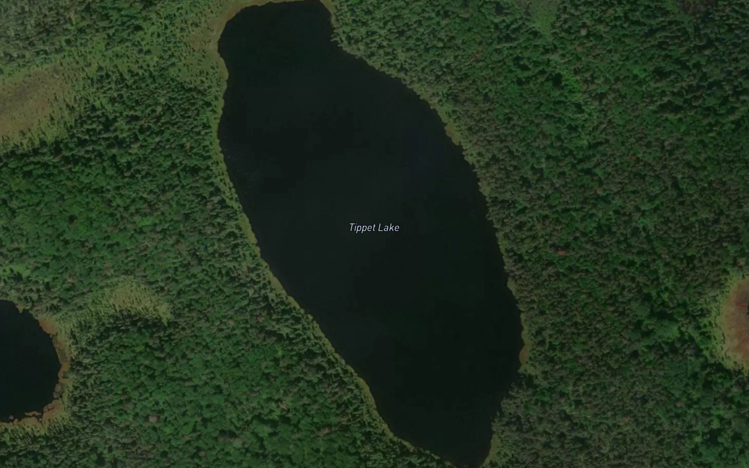 Tippet Lake