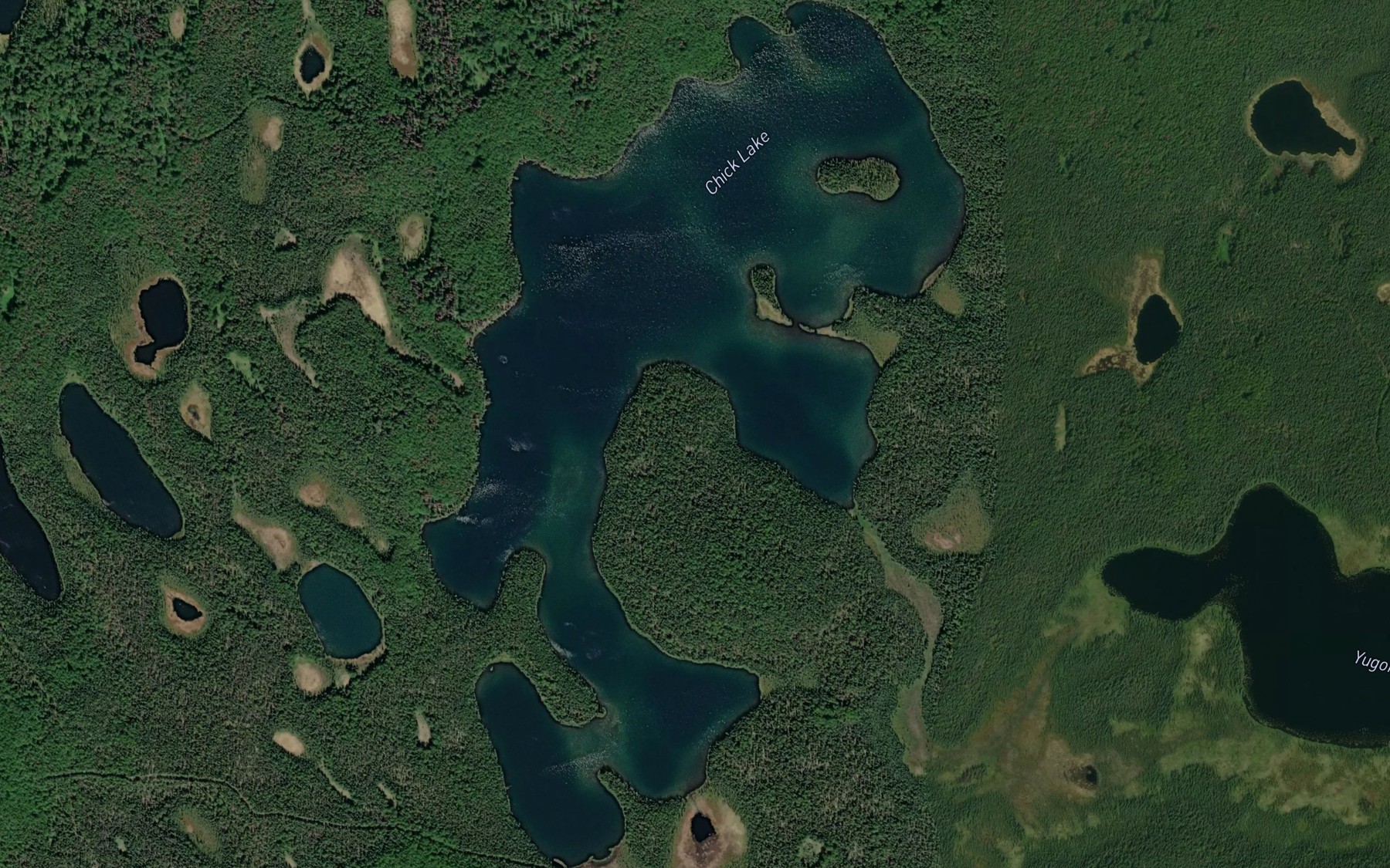 Satellite map of the Chick Lake