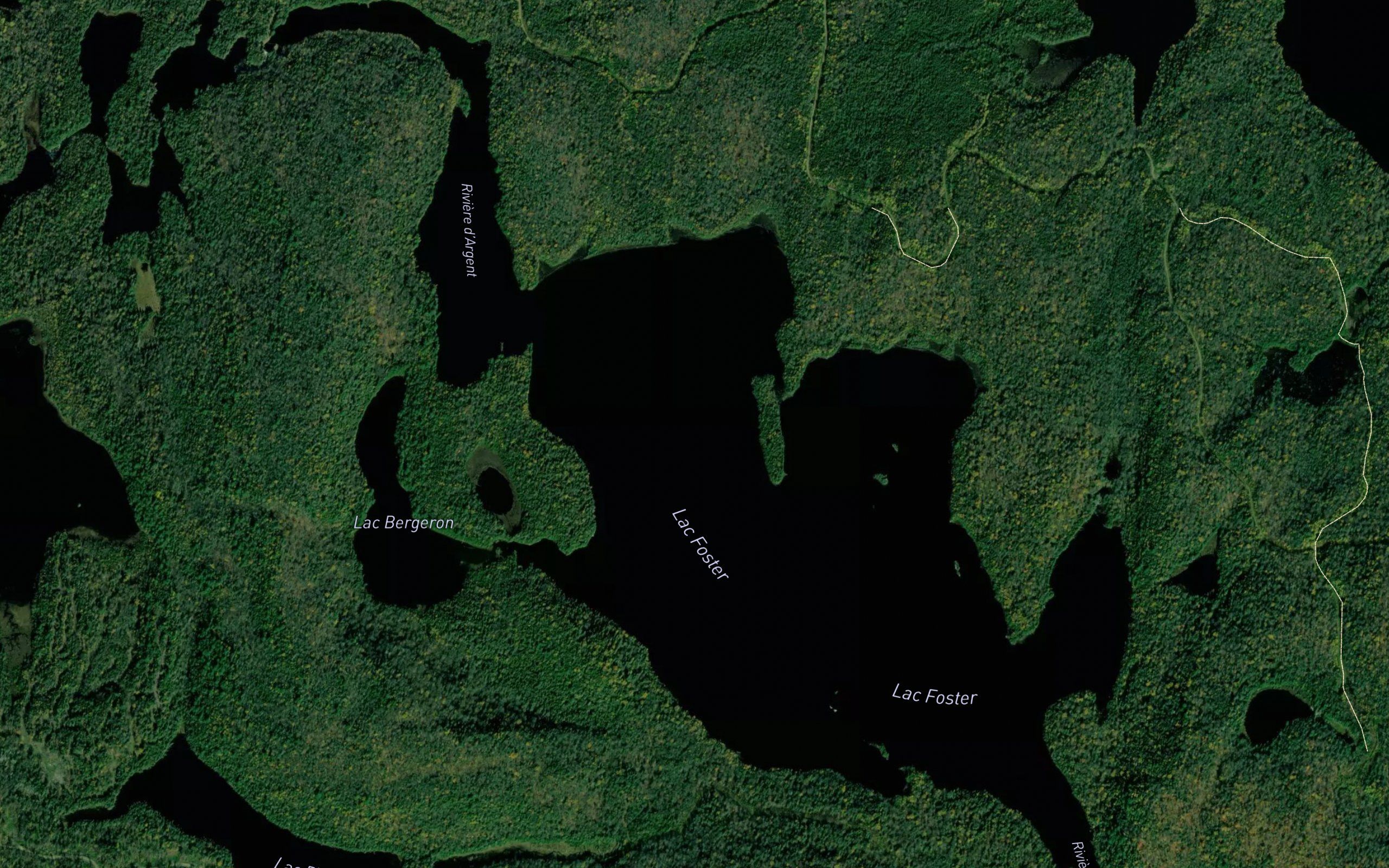 Lac Foster
