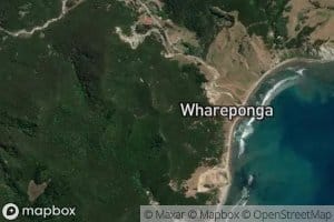 Whareponga Bay