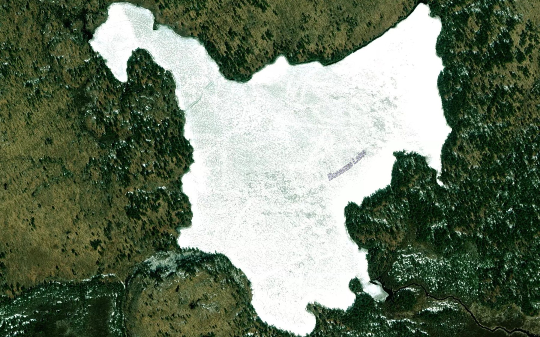 Satellite map of the Bonanza Lake