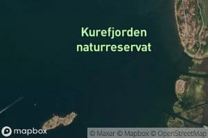 Kurefjorden