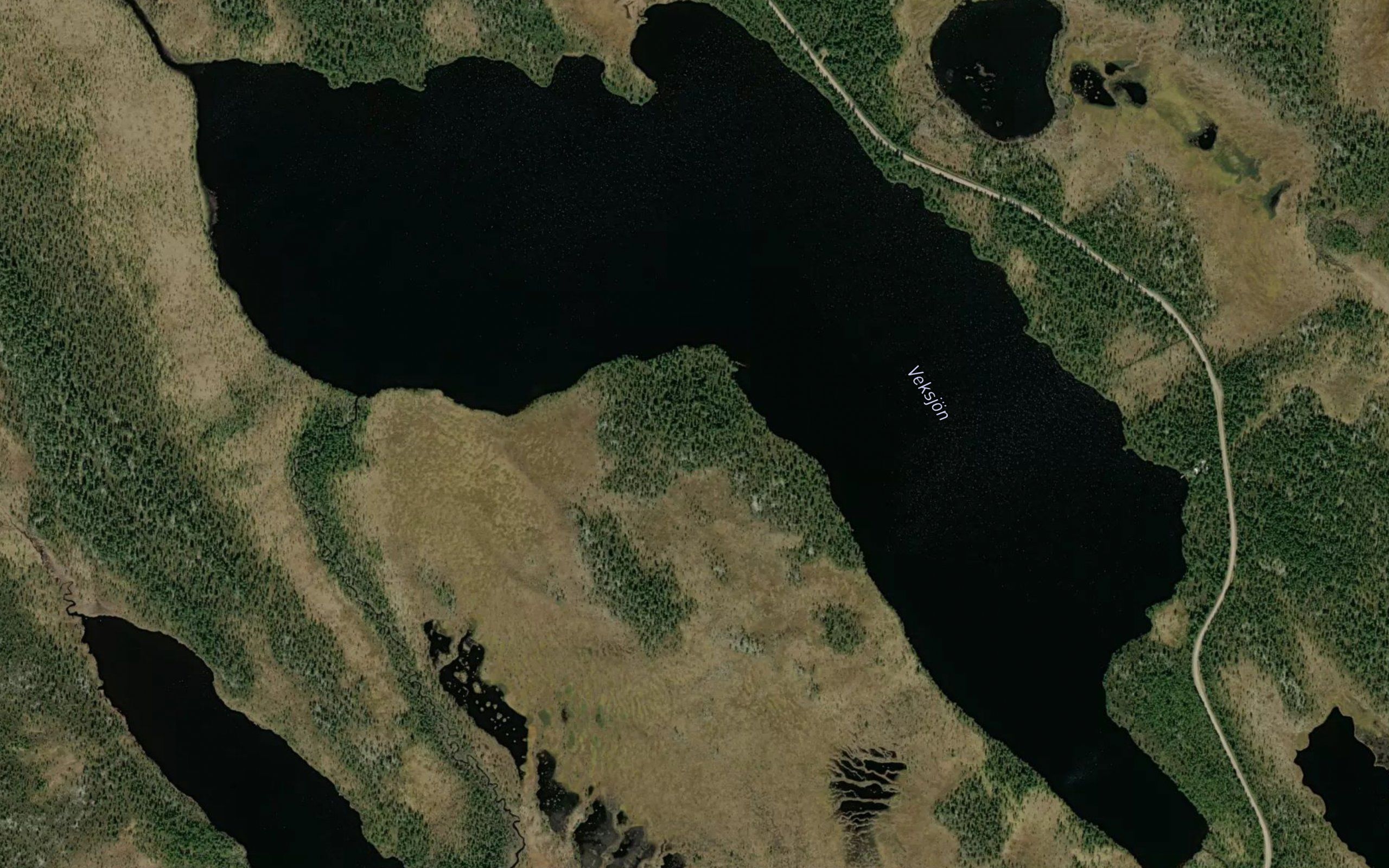 Stora Vegsjon