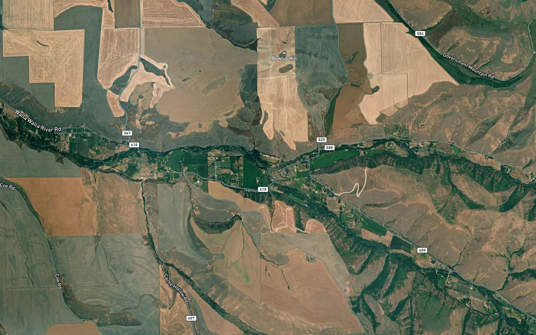 Satellite map of the North Fork Walla Walla River