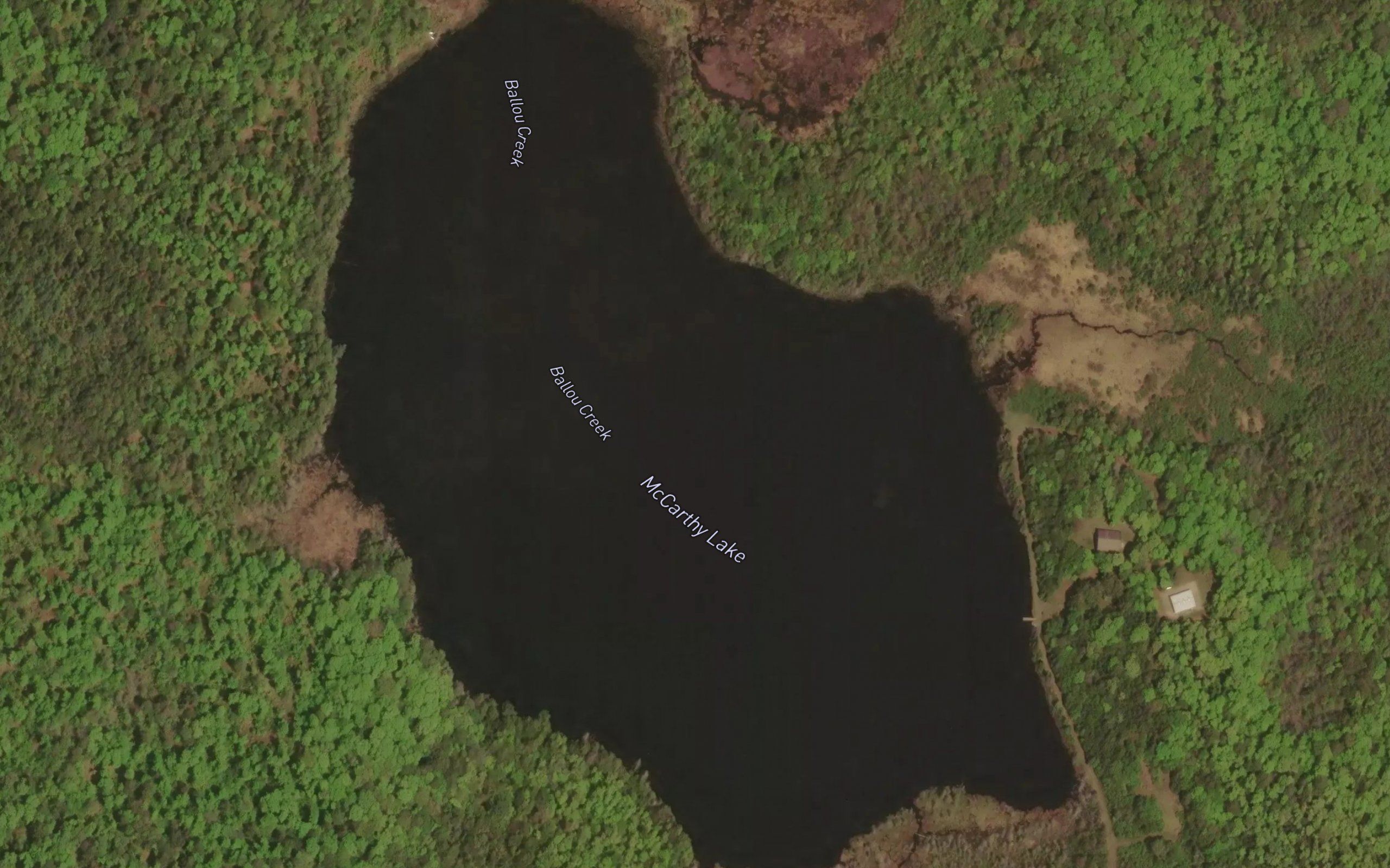 McCarthy Lake
