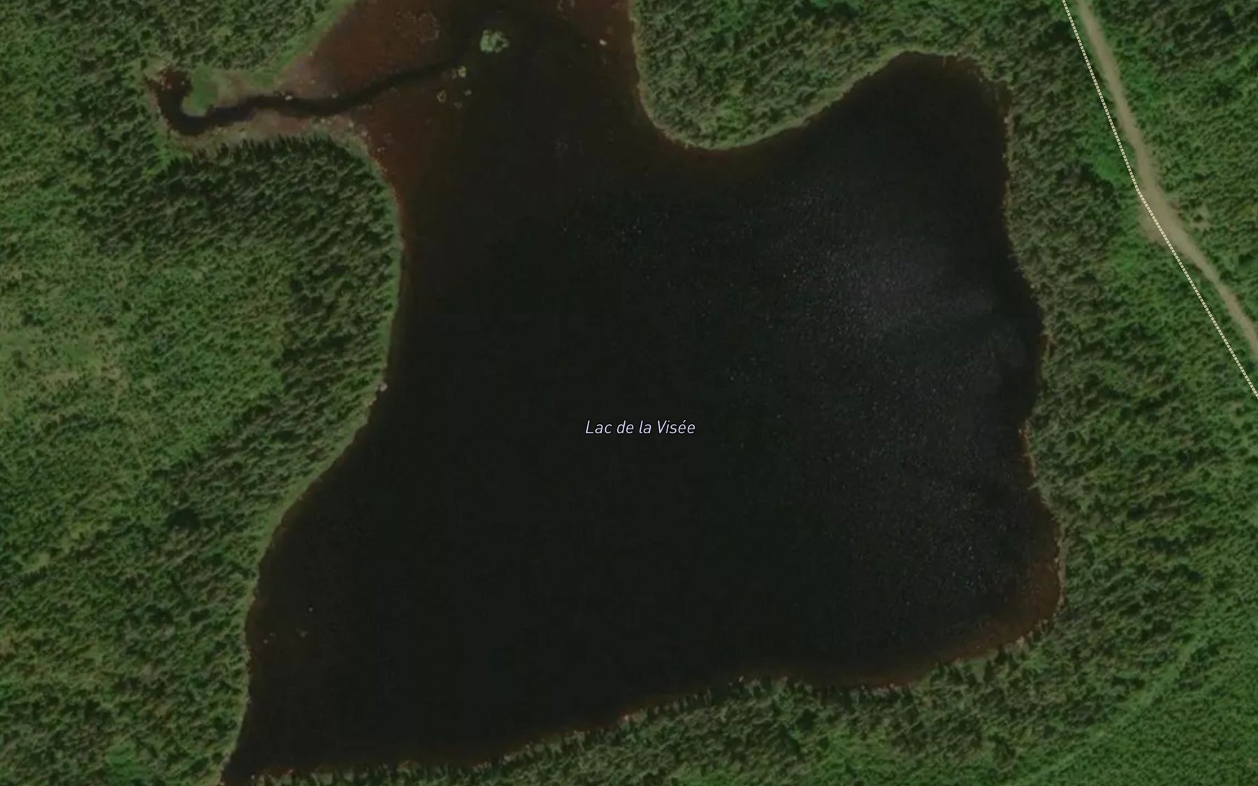 Satellite map of the Lac de la Visee