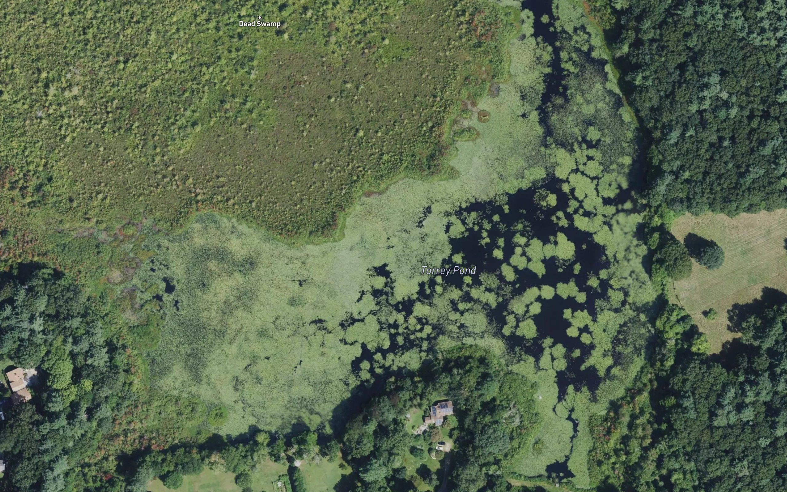 Torrey Pond