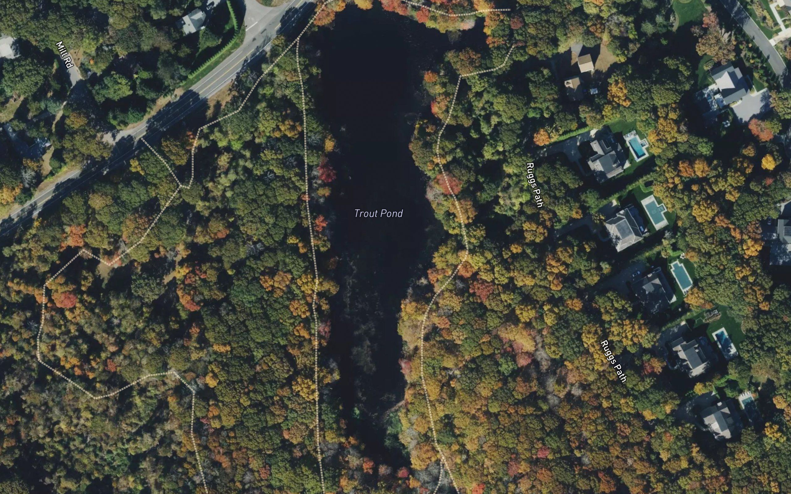 Trout Pond