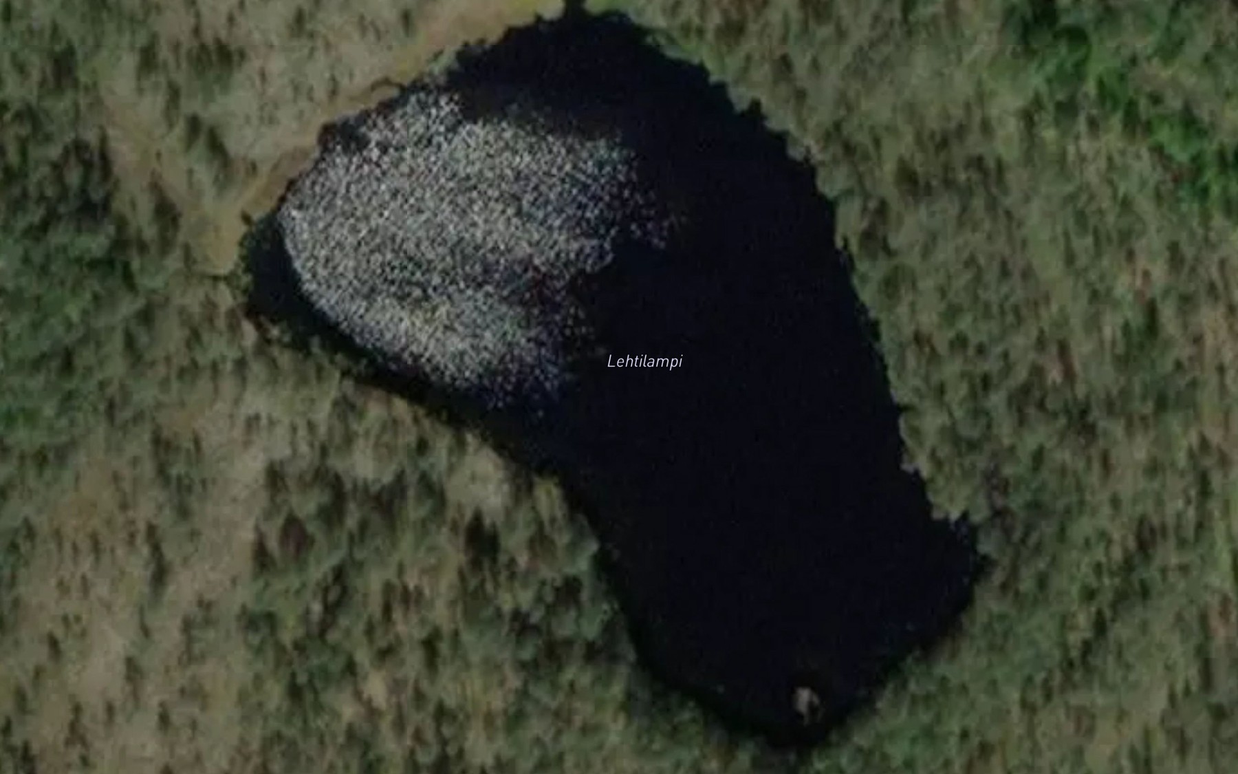 Satellite map of the Lehtilampi