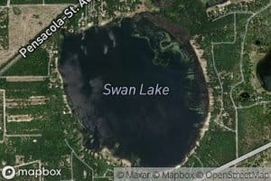 Swan Lake
