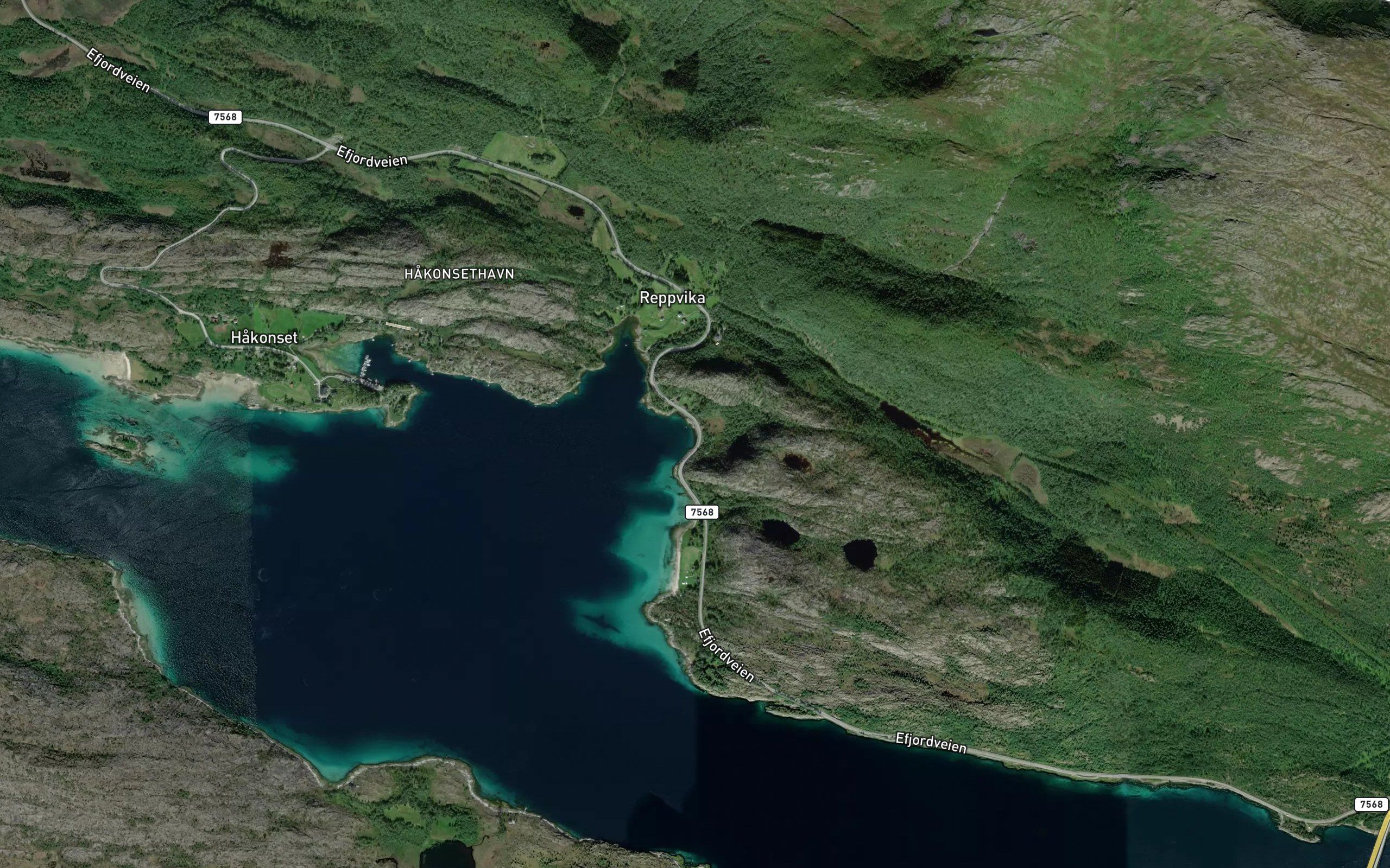 Skjavika
