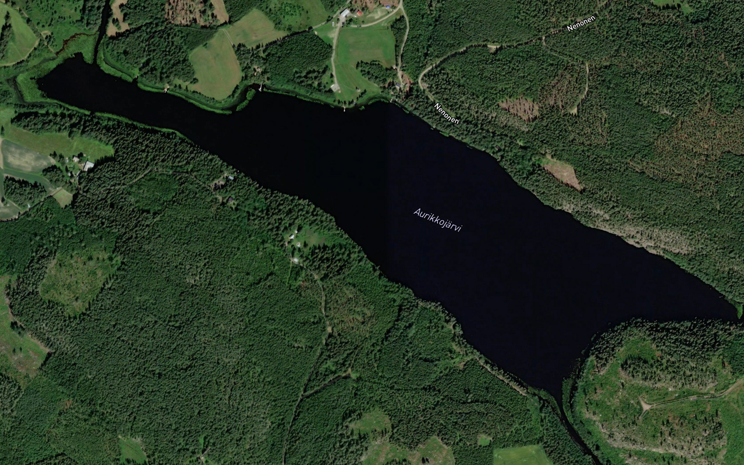 Aurikkolahti