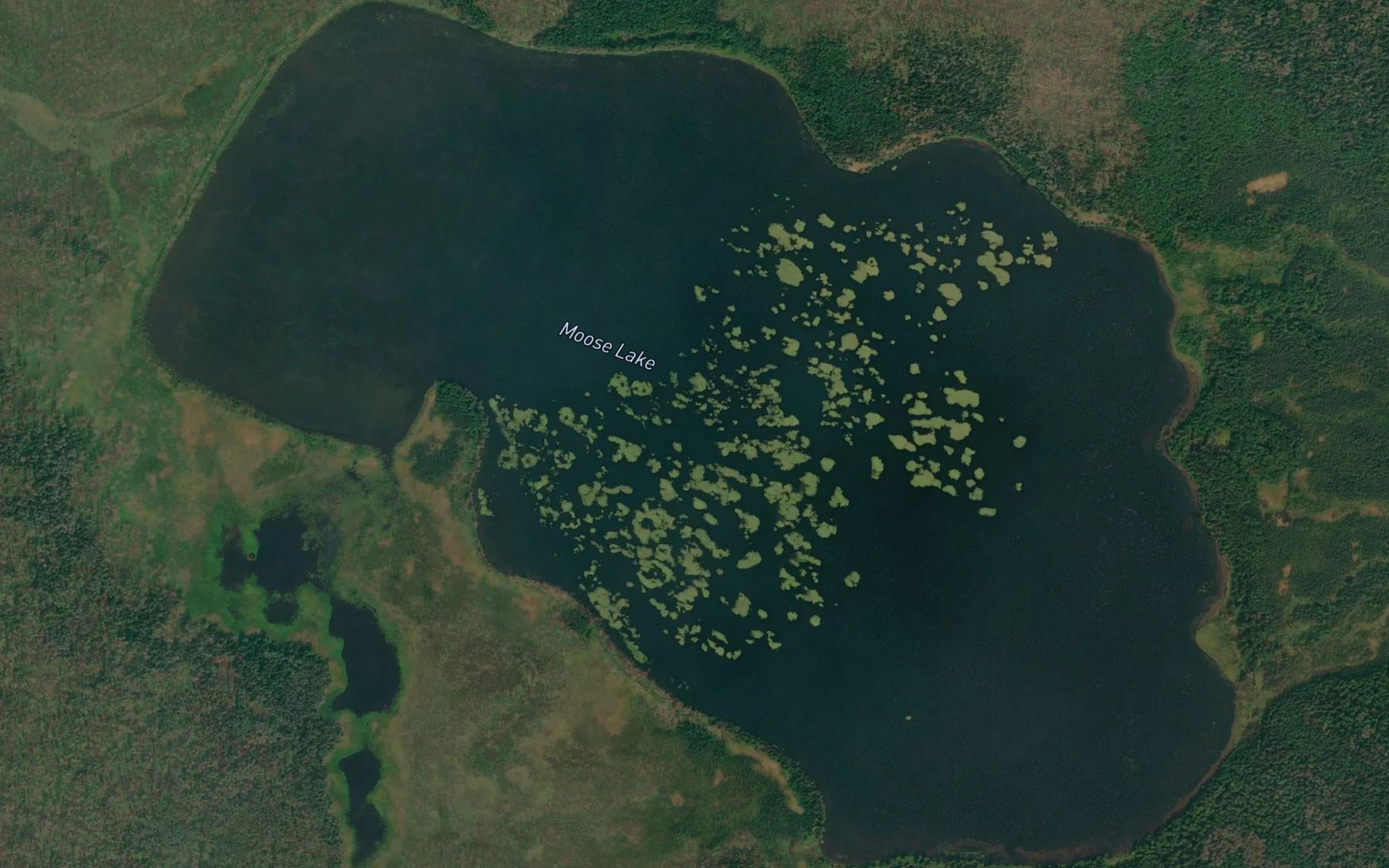 Satellite map of the Moose Lake