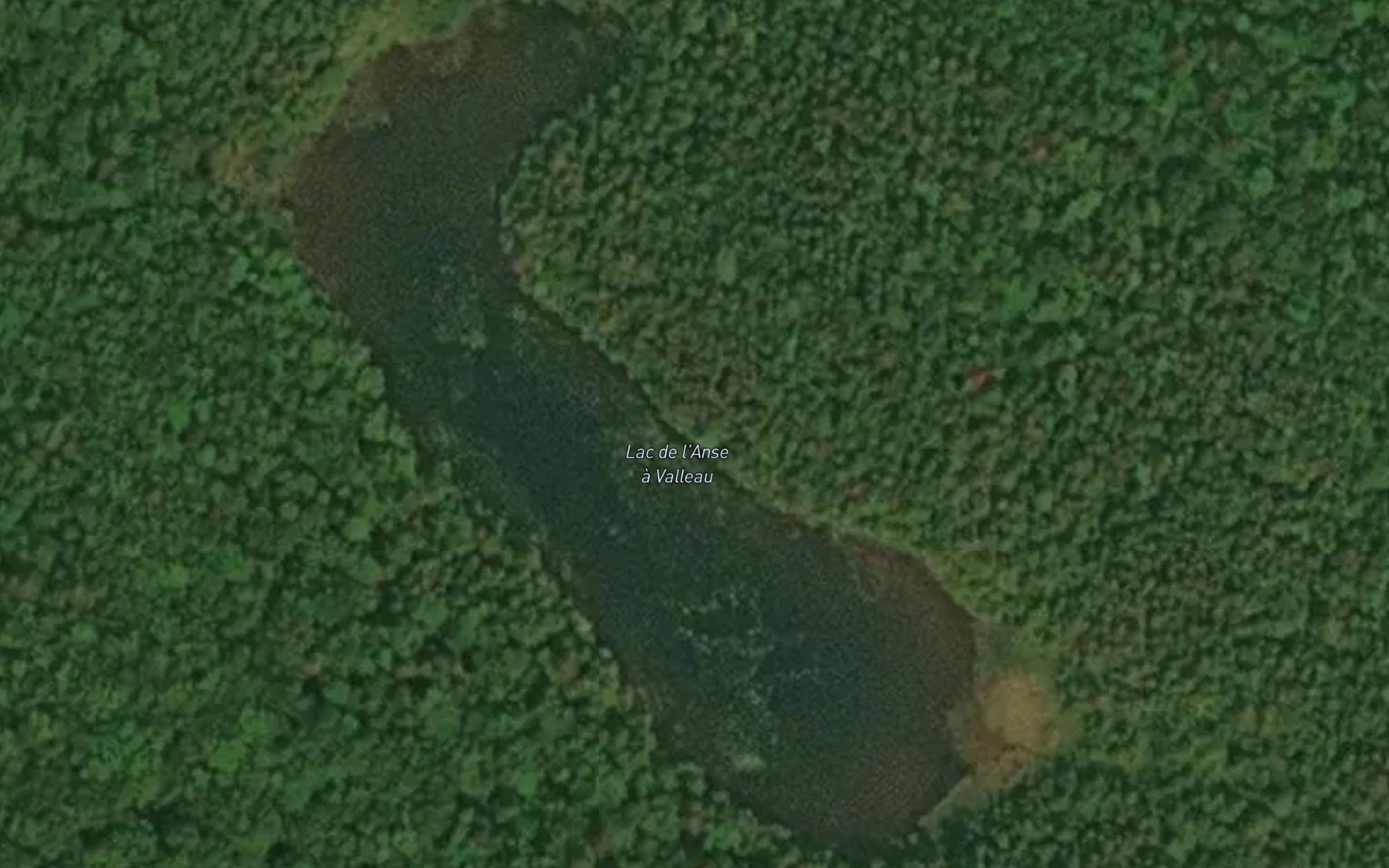 Satellite map of the Lac de l'Anse a Valleau