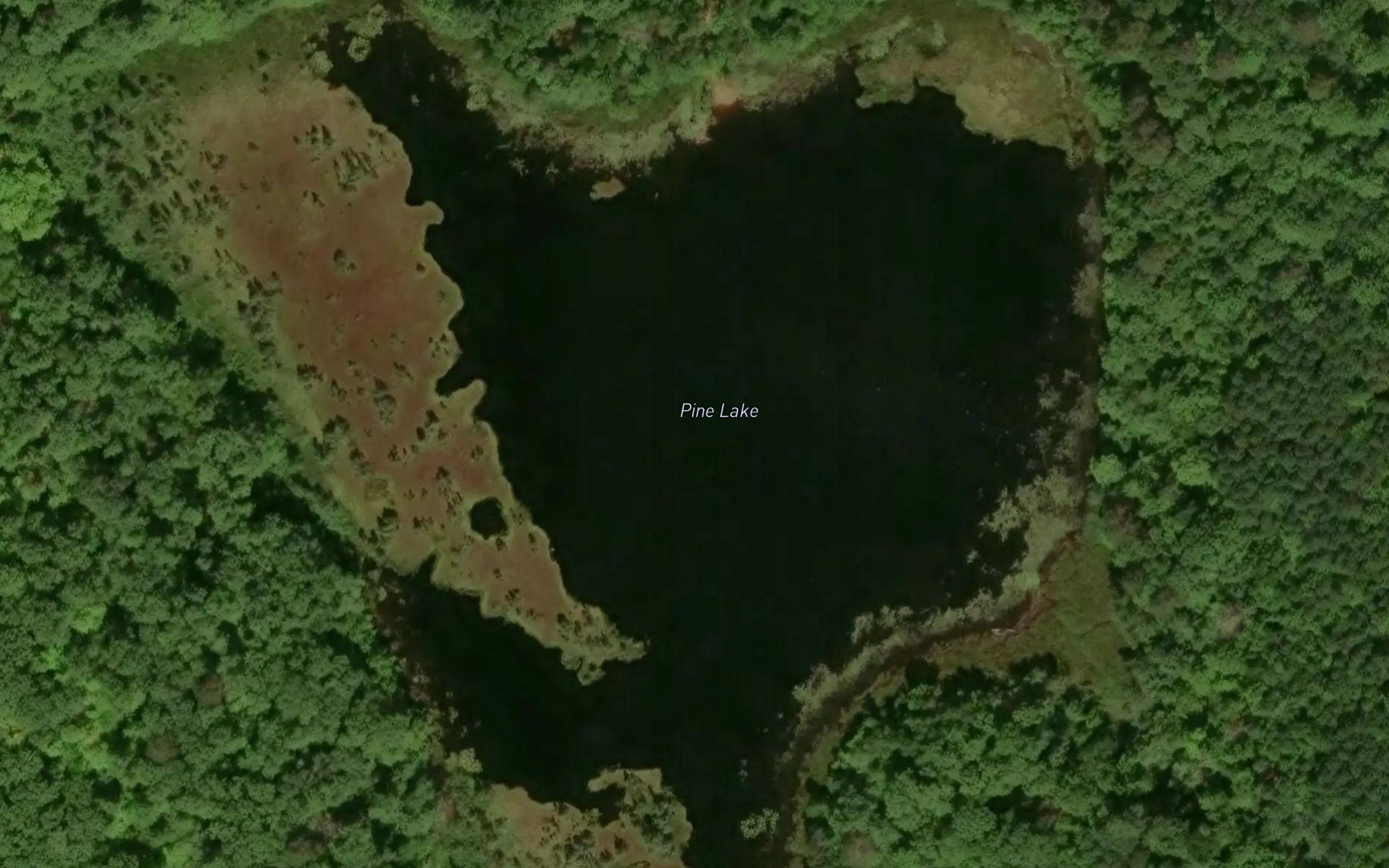 Pine Lake