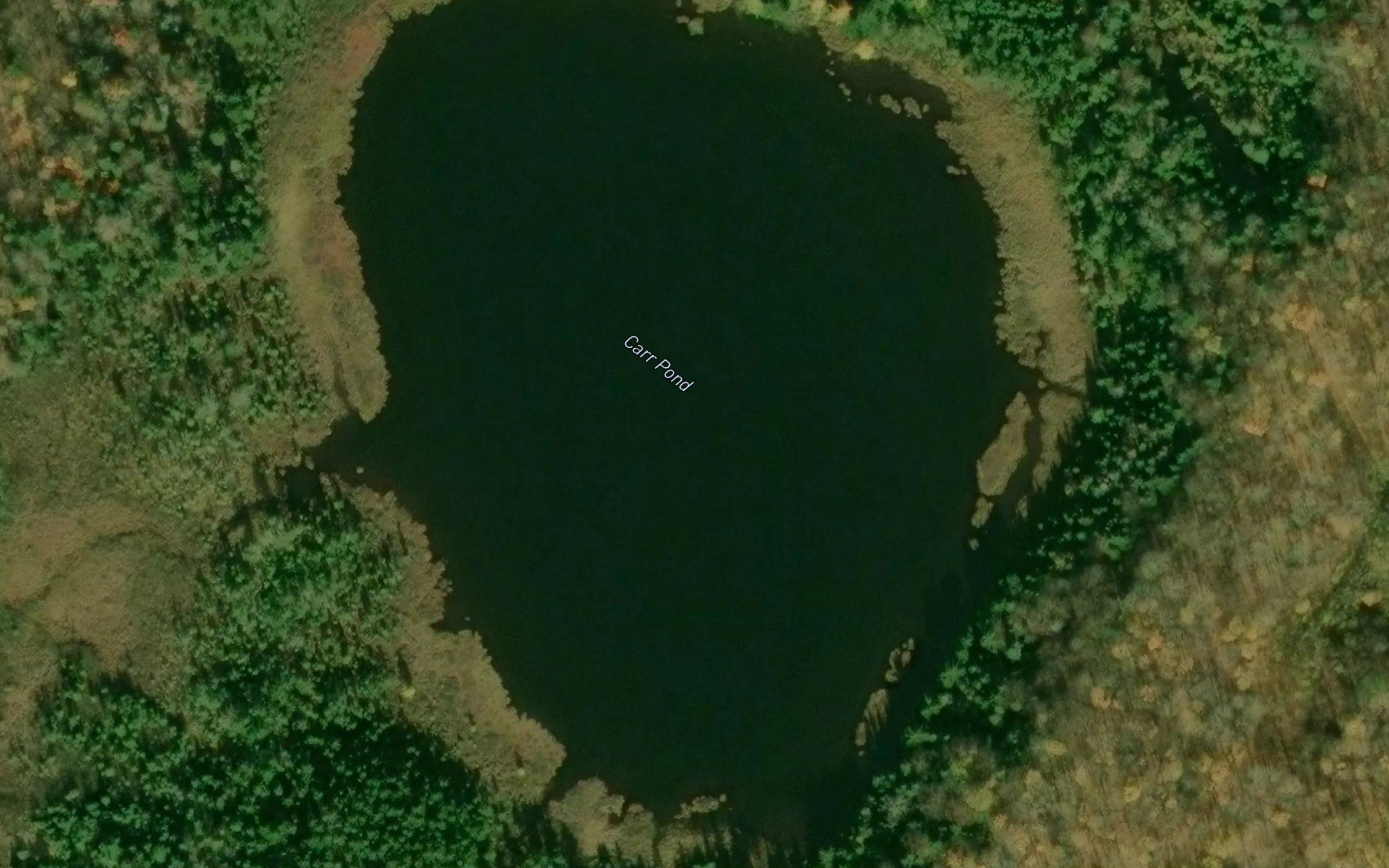 Carr Pond