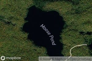 Moose Pond