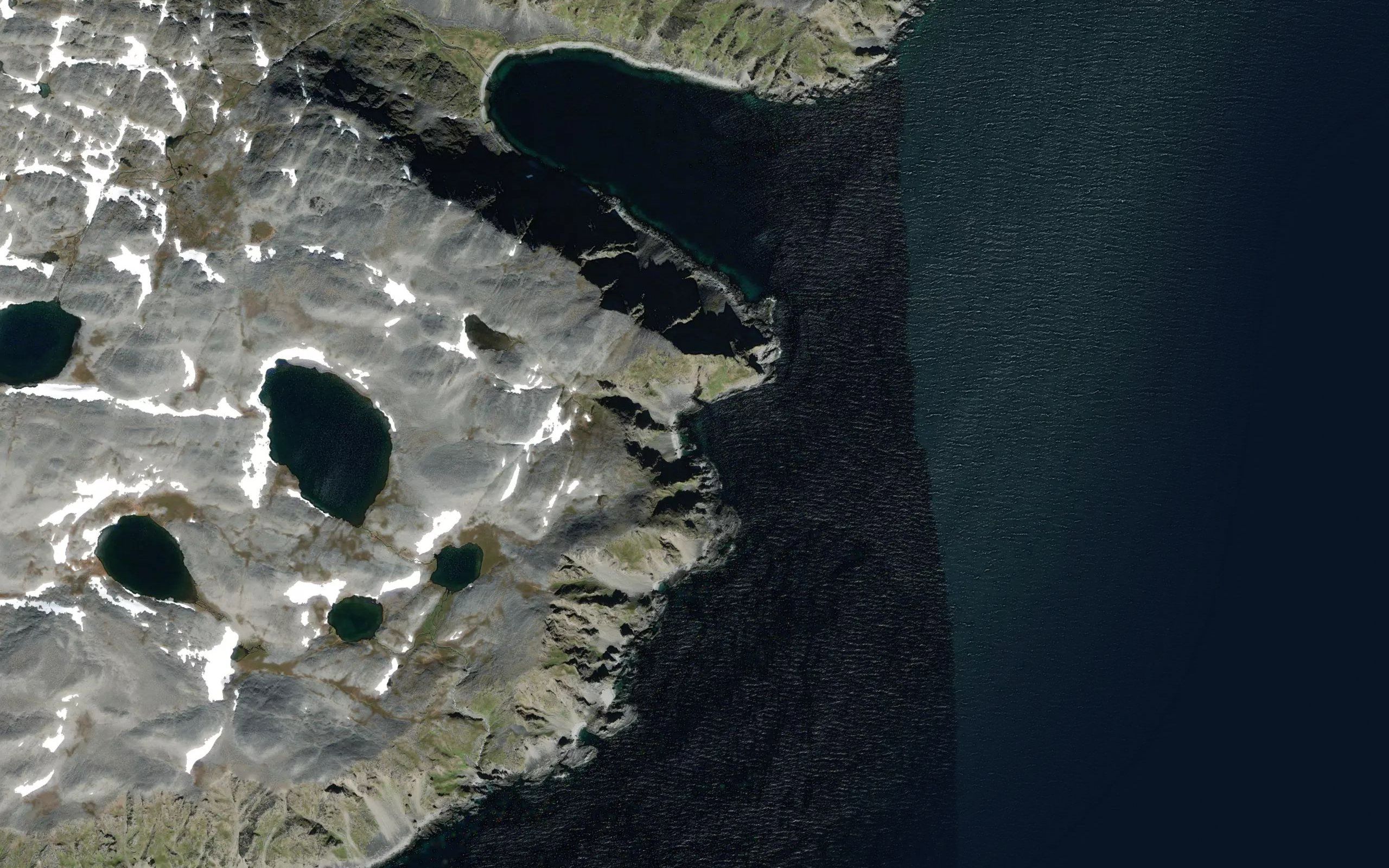 Rotvika