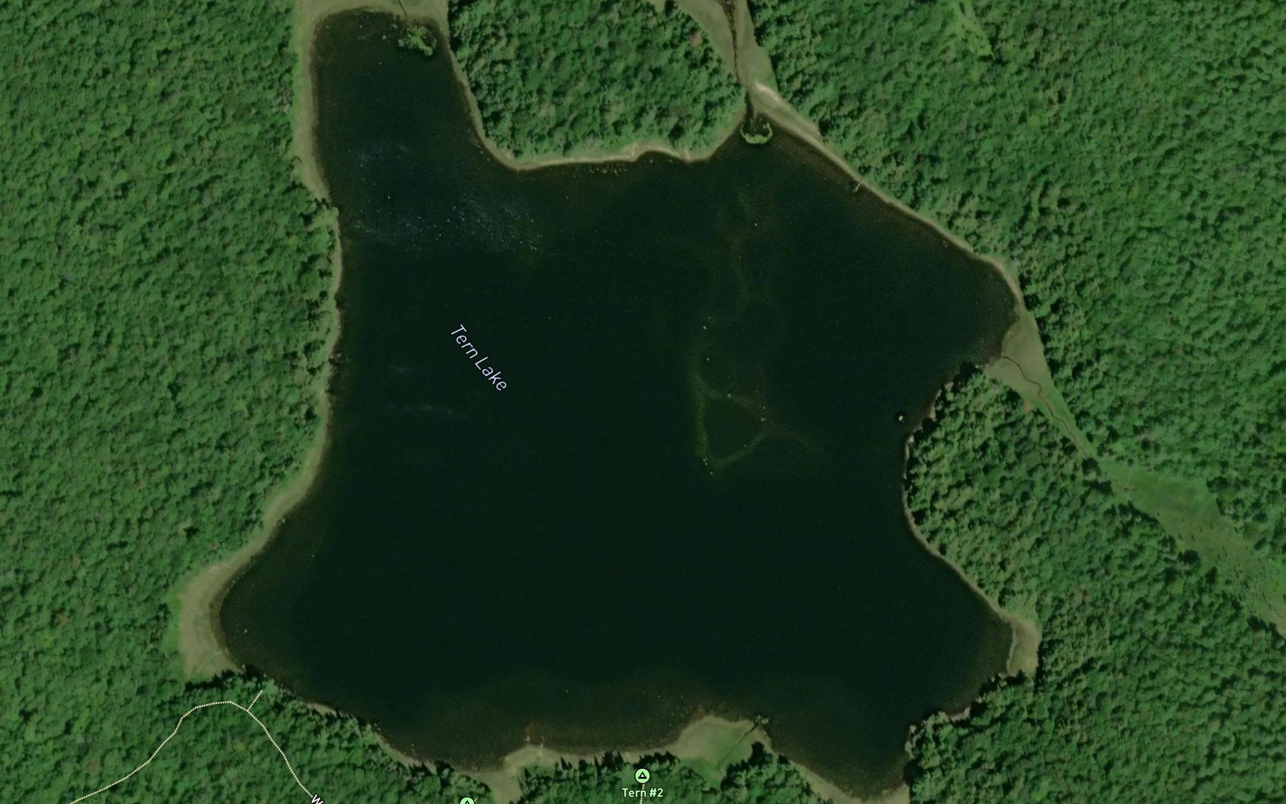 Tern Lake