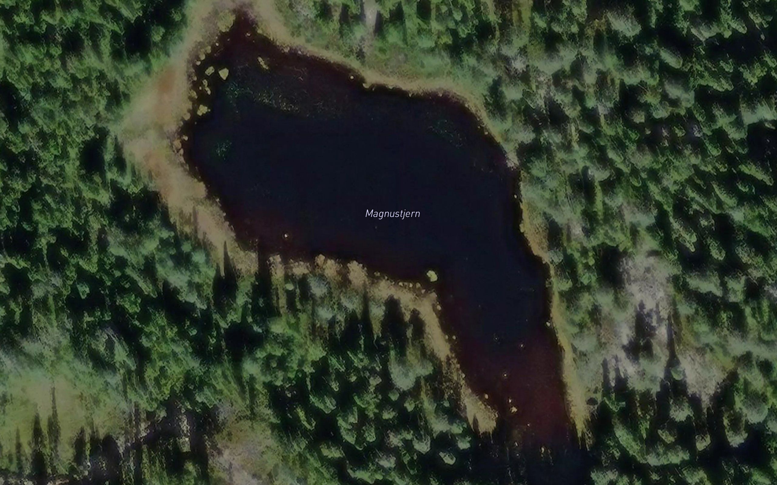 Magnustjern