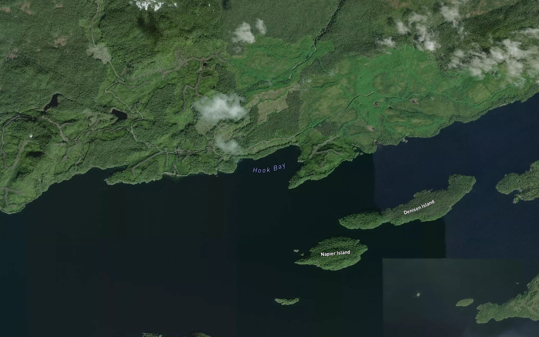 Satellite map of the Hook Bay