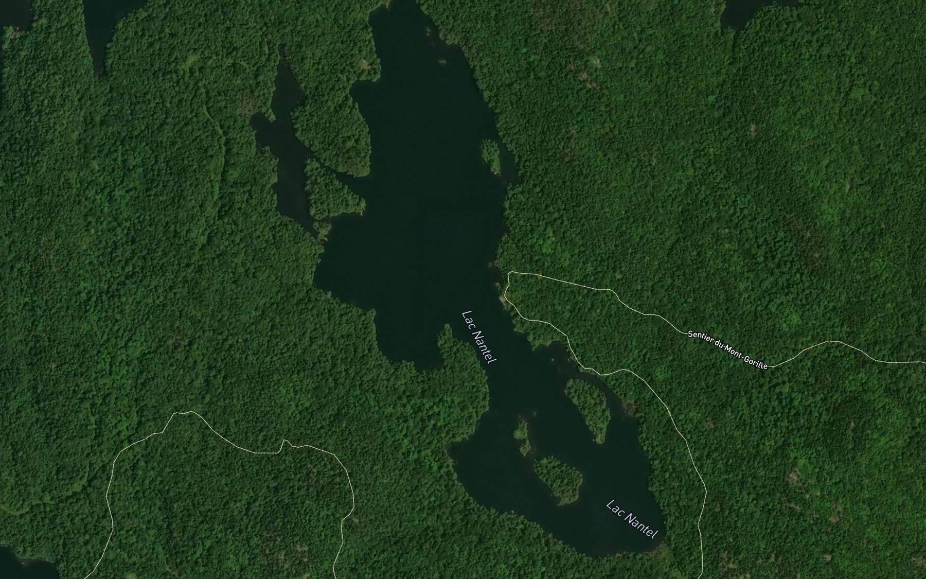 Satellite map of the Lac Nantel