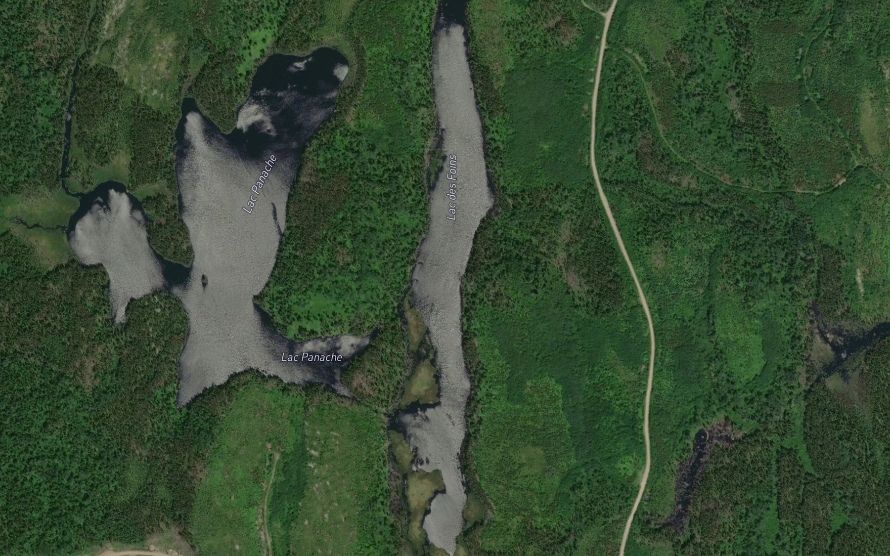 Satellite map of the Lac des Foins