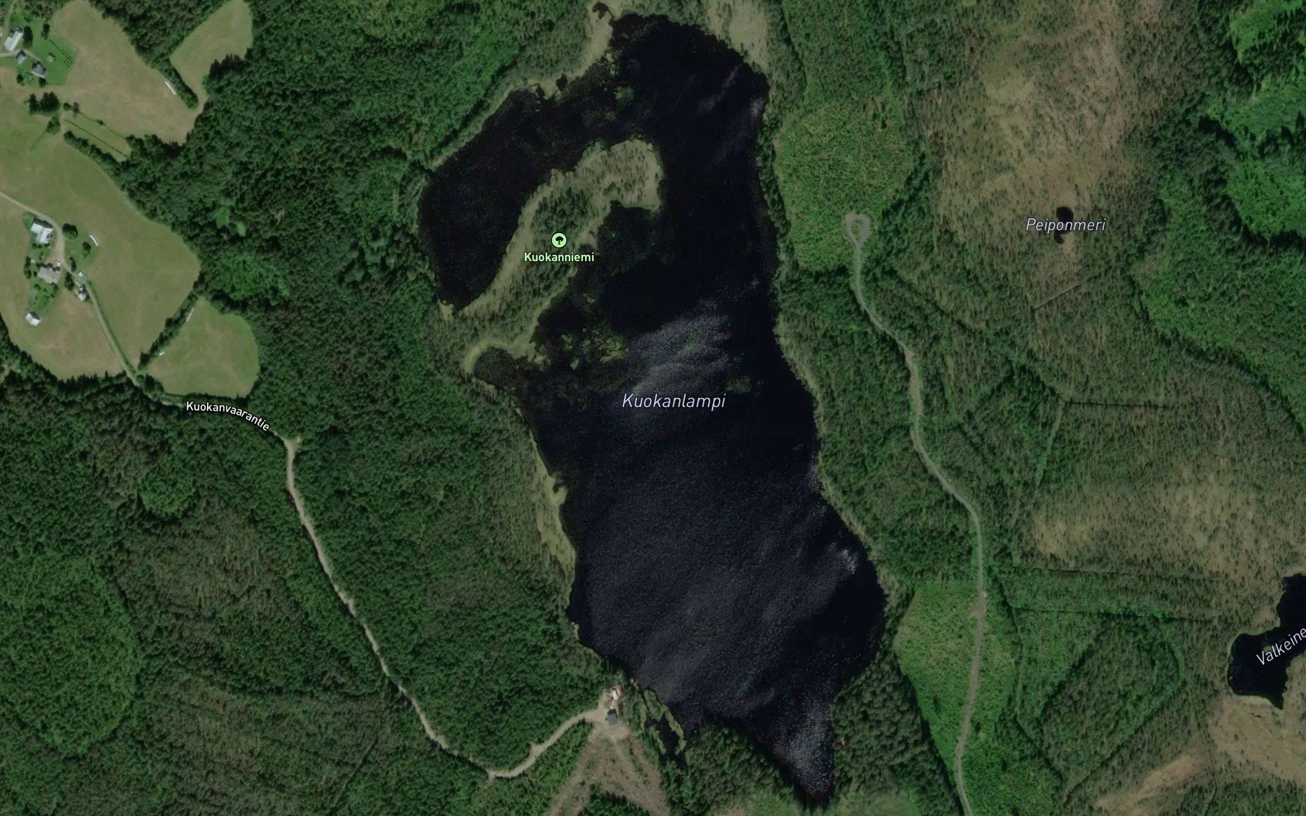 Kuokanlampi