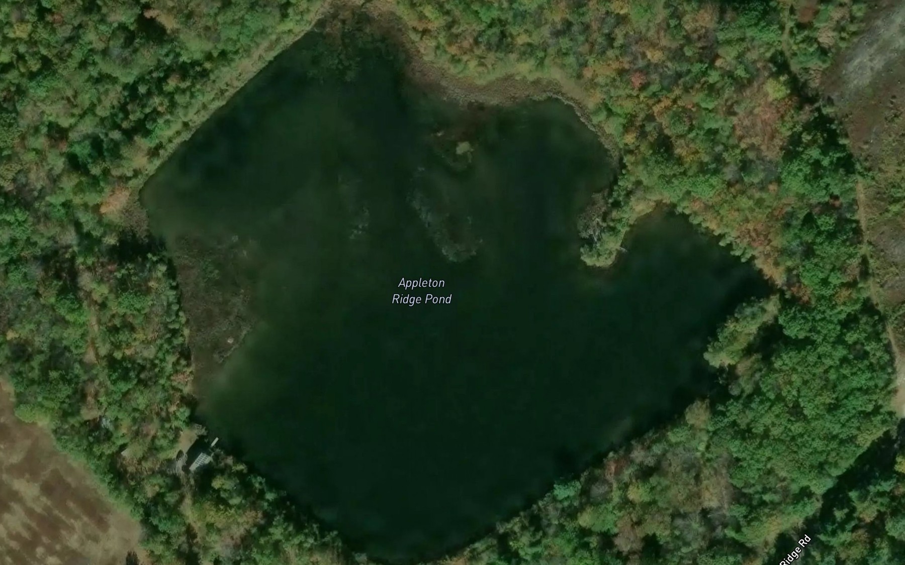 Satellite map of the Appleton Ridge Pond